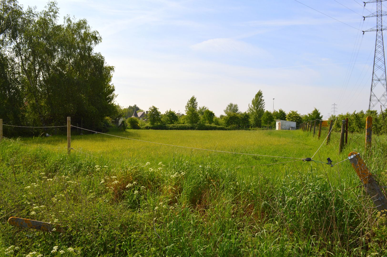 Te renoveren of herbouwen woonst met commerciële functie én aanliggende weidegrond foto 7