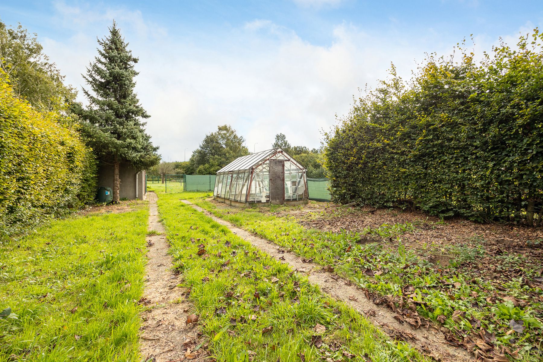 Ruime woning met veel potentieel voor thuiswerk of zelfstandige activiteiten.  foto 34