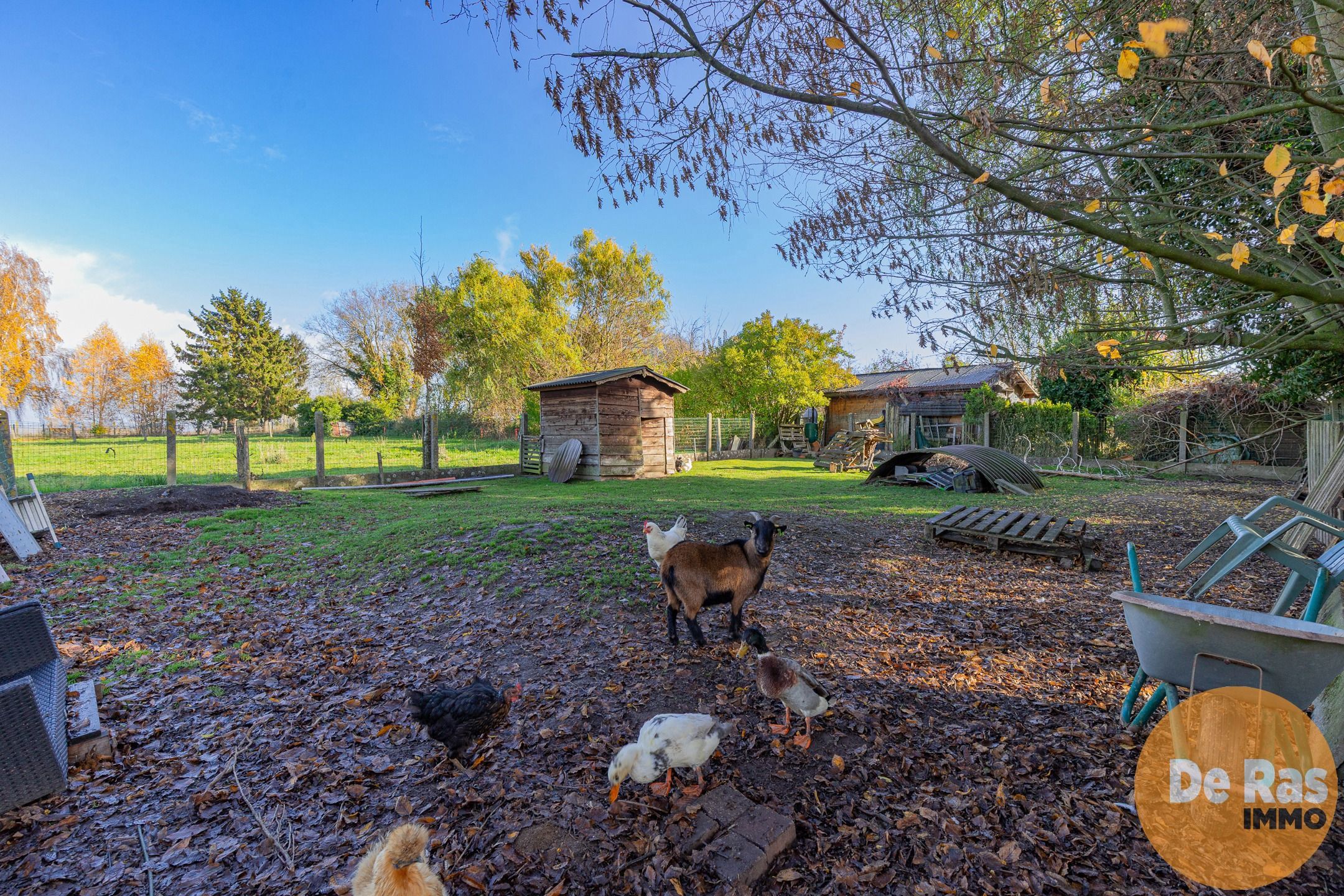 RESSEGEM - Residentieel gelegen hoeve met 3slp/garage/tuin foto 23