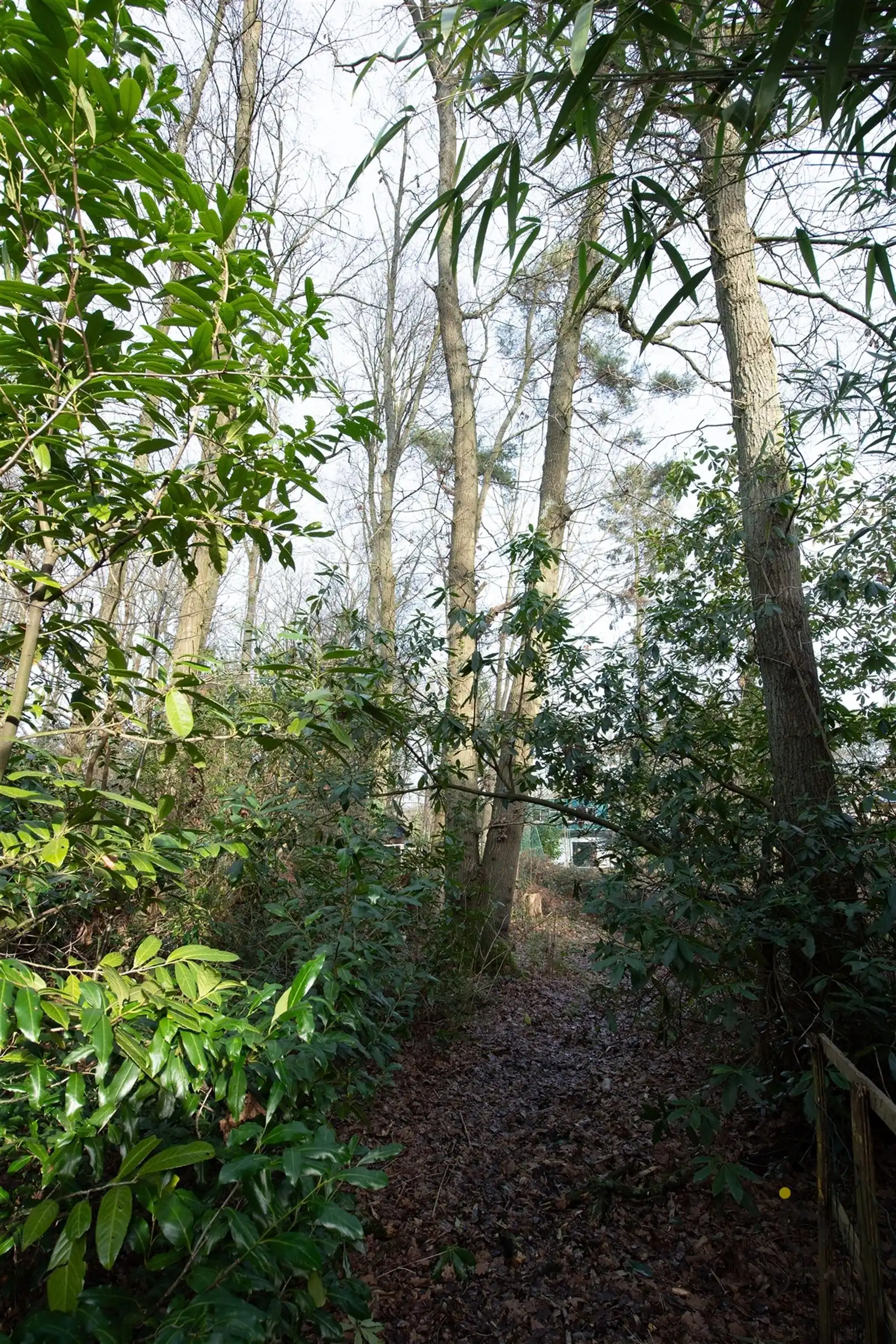 Veel renovatiepotentieel in ruime rustig gelegen familiewoning midden in het groen! foto 51