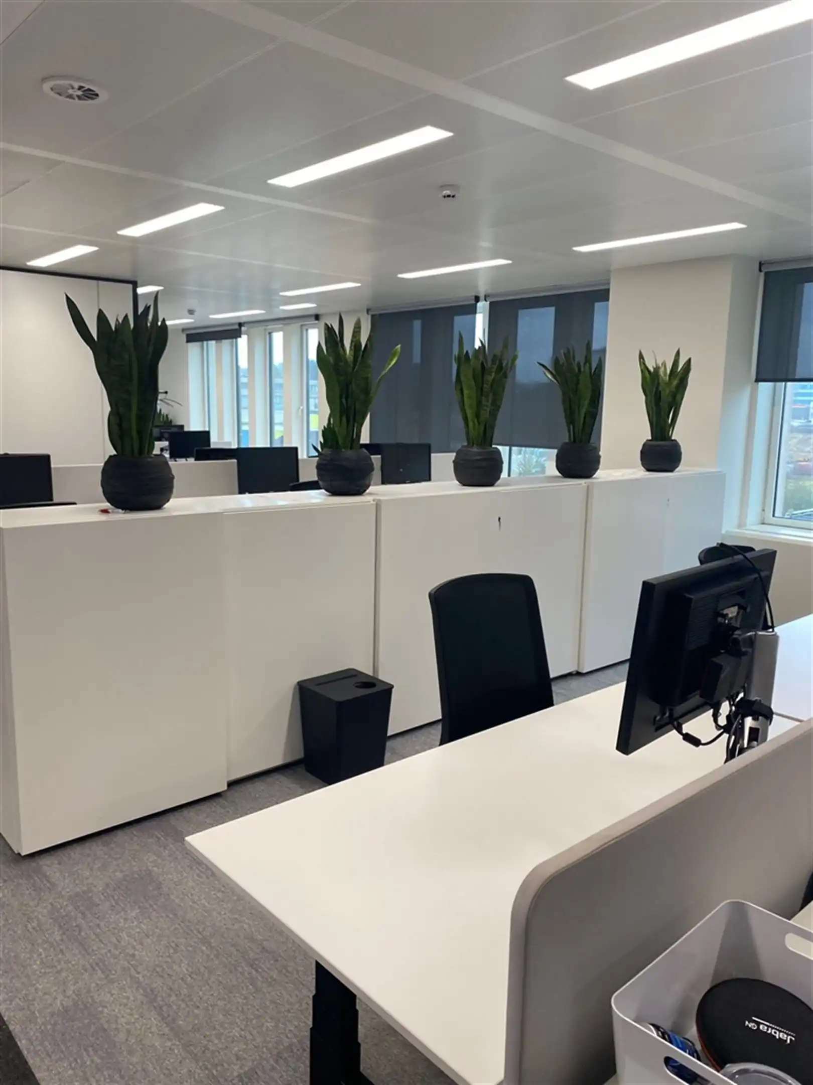 TWIN SQUARES - 984m² instapklaar foto 24