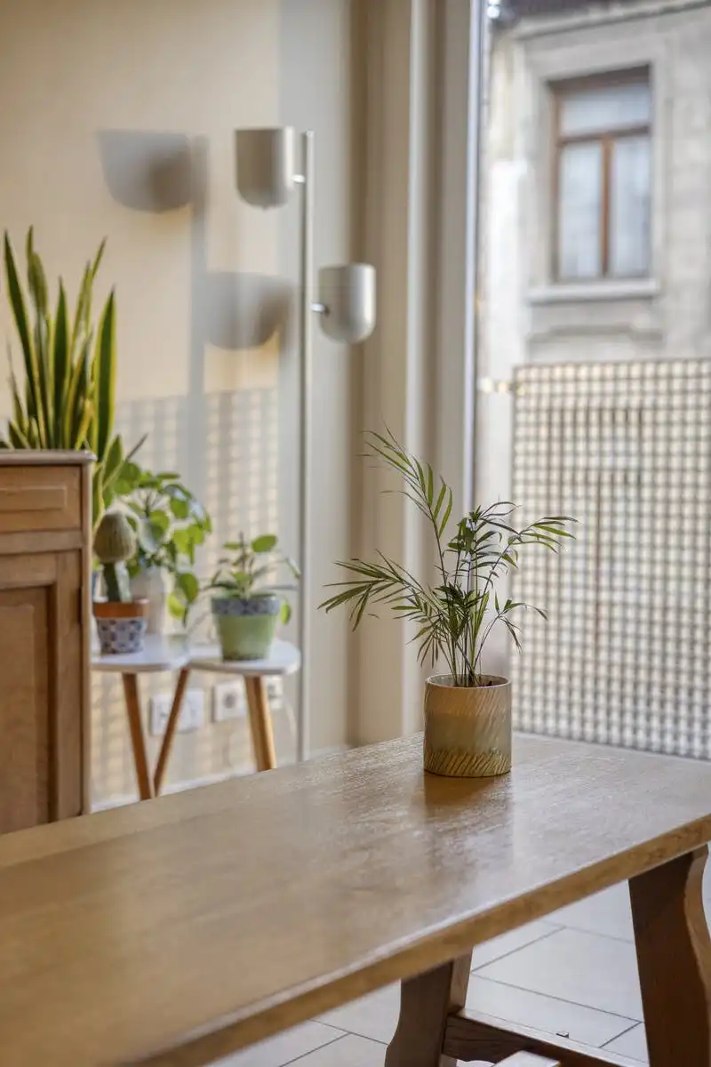 Energiezuinig appartement te koop vlakbij Stadspark Antwerpen foto 8