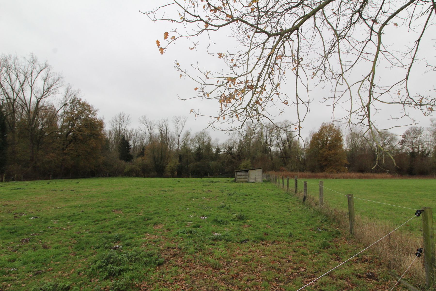 Asbeek: achtergelegen weide  foto 8