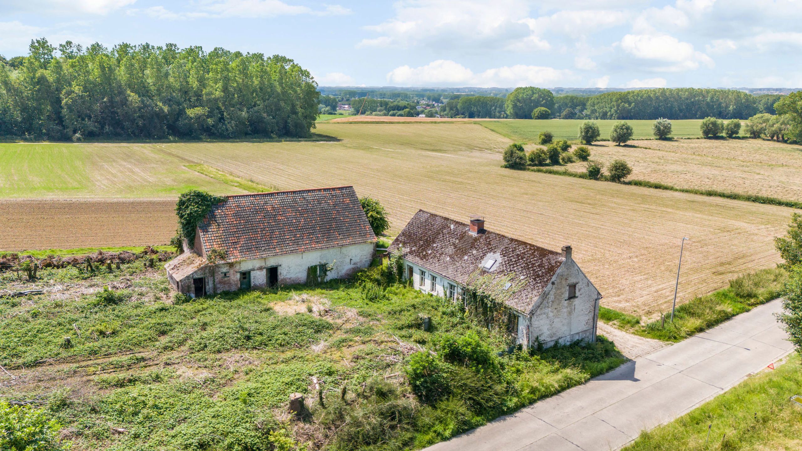 Prachtig gelegen te renovere L hoeve op 3ha 80a foto 2