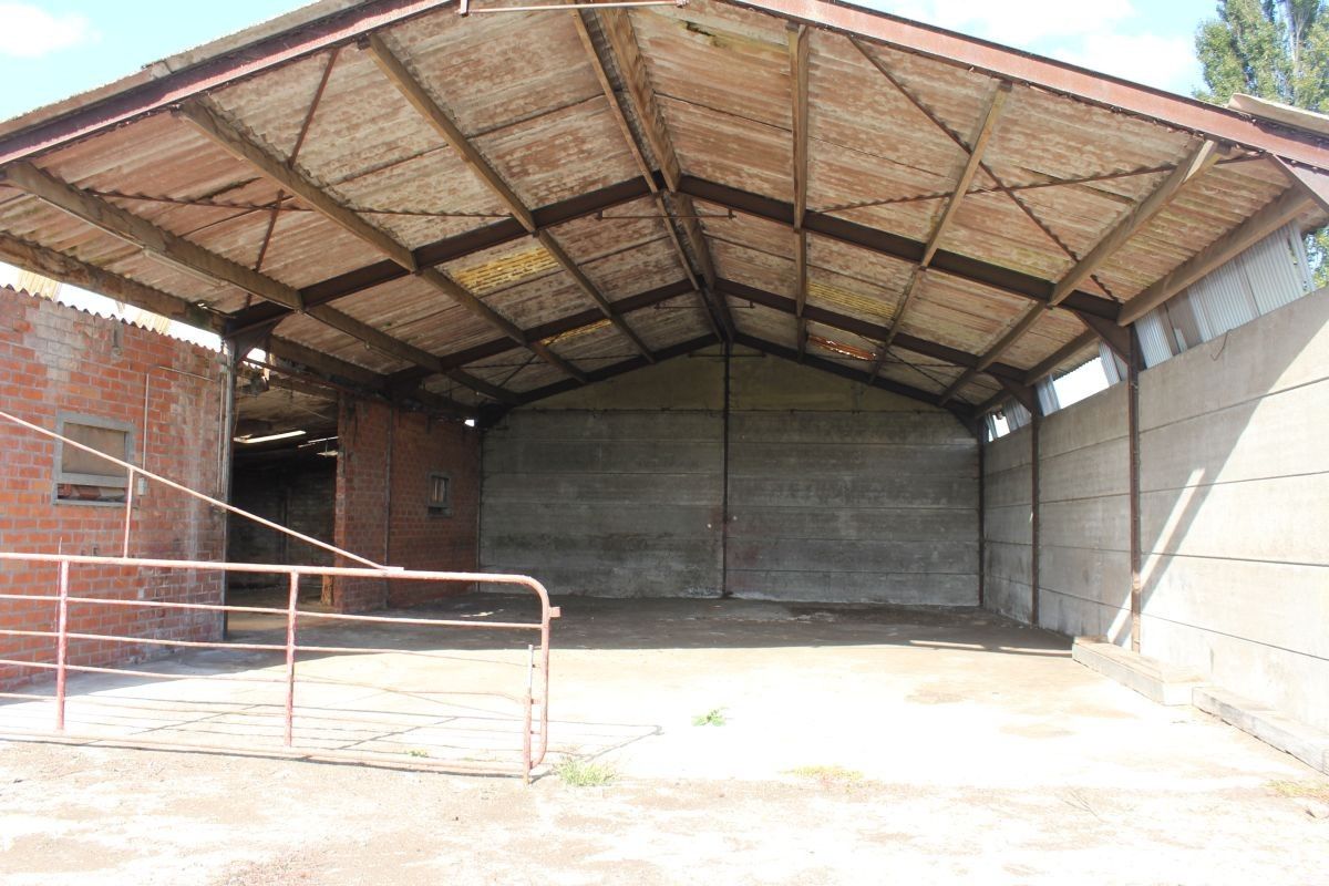 Hoeve op circa 1 ha te koop te Brugge - Assebroek foto 9