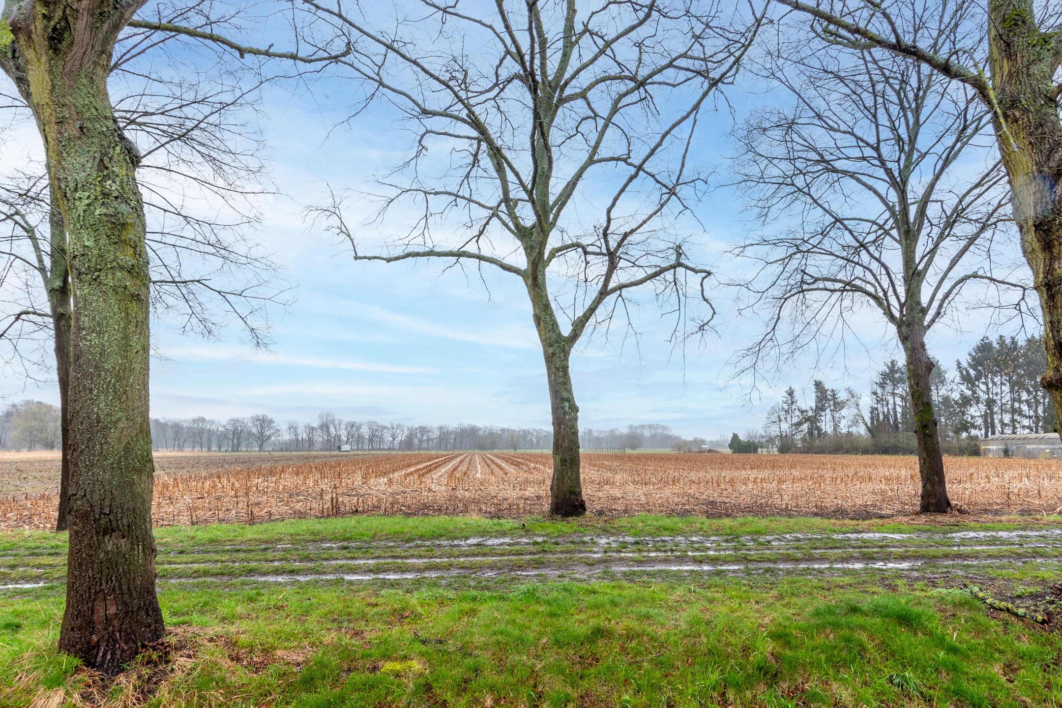 Instapklare gezinswoning aan natuurgebied Blaasveldbroek  foto 3