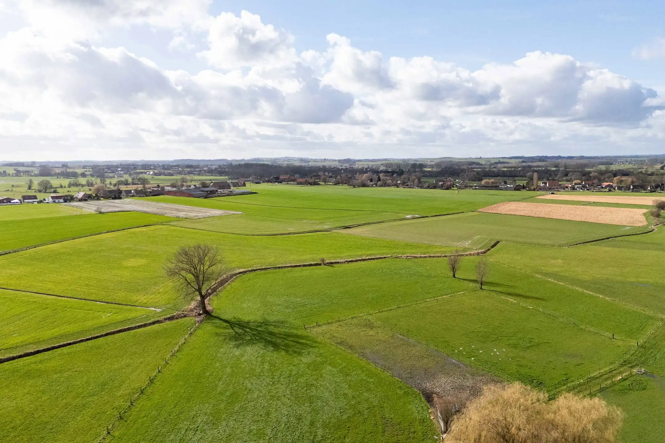 Instapklare villa met tuin, weids uitzicht en ruim bijgebouw foto 3