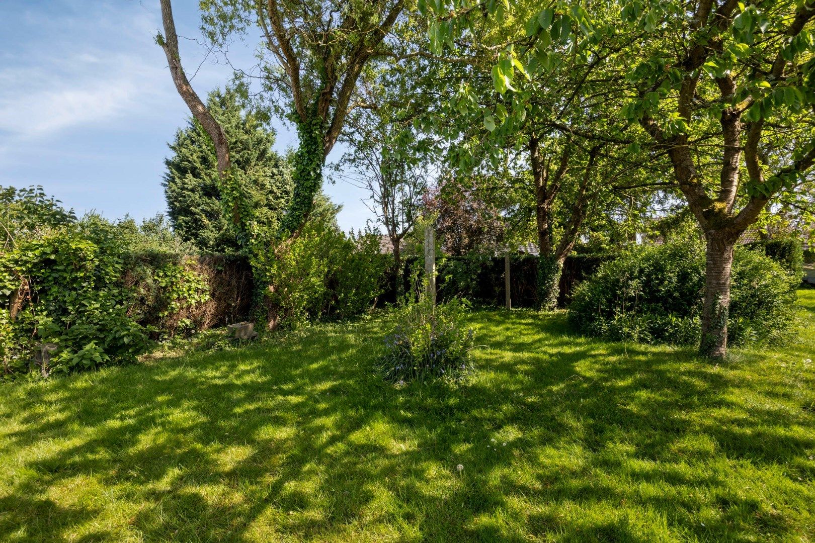 Goed gelegen handelshuis met woonst, tuin en loods in Kessel-Lo – uitstekende visibiliteit en bereikbaarheid foto 46