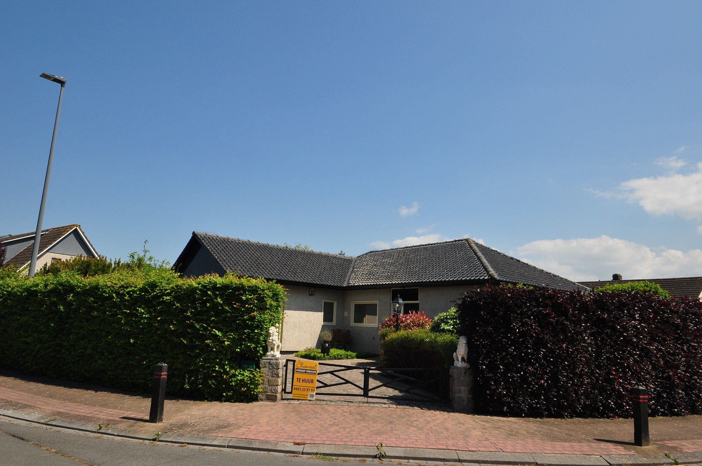 Alleenstaande woning met grote tuin, garage en carport te Zandvoorde foto {{pictureIndex}}