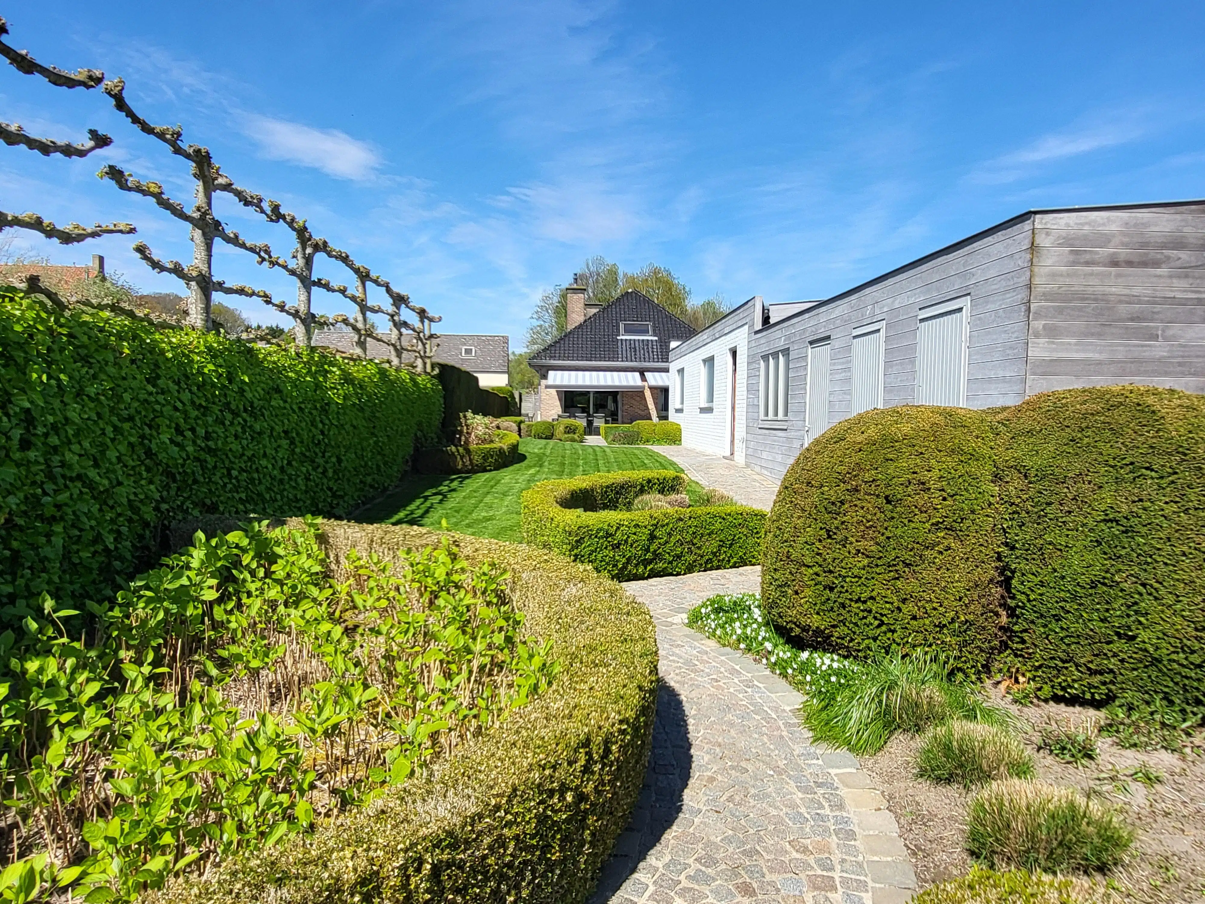 Deze ruime en uitstekend onderhouden villa-bungalow op een perceel van 1.264 m² combineert comfort, functionaliteit en een aangename woonbeleving met een zuidgericht terras en een prachtig aangelegde tuin met zwembad en badhuis.  foto 8