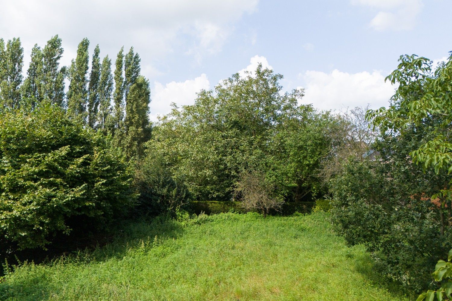 Ruime, zuid georiënteerde bouwgrond van ca 1.690m2 foto 3