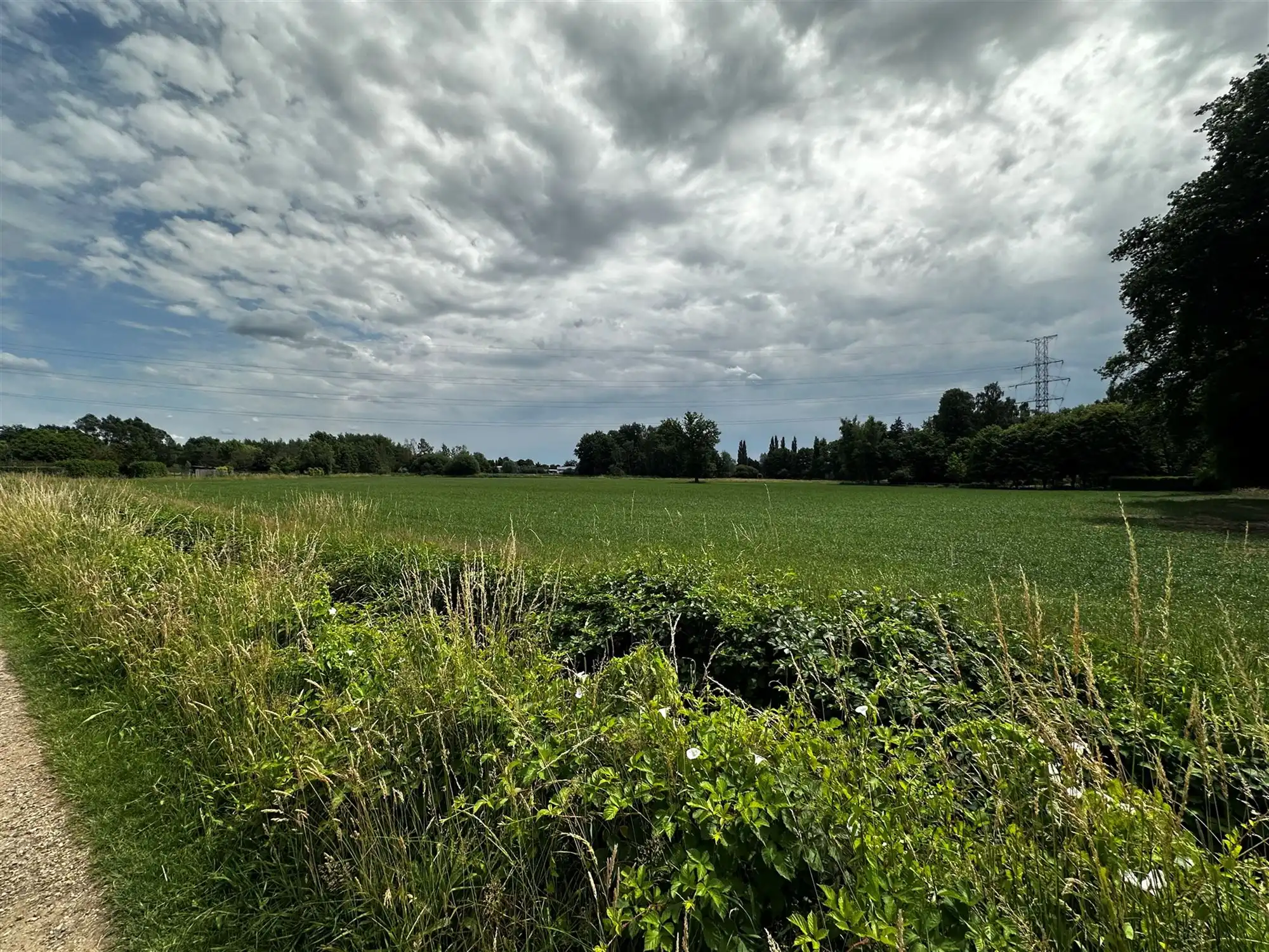 PERCEEL WEILAND VAN 7800M² GELEGEN AAN DE GORENSTRAAT TE PAAL foto 4