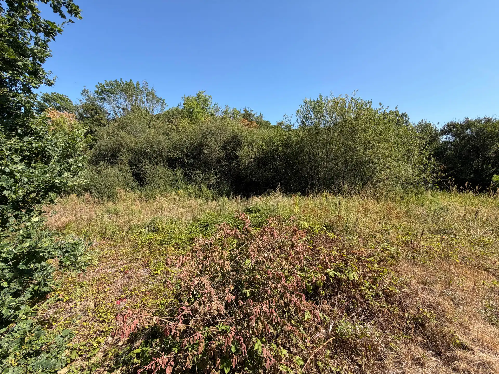 Grond te koop Tieltseweg - 3202 Aarschot Rillaar