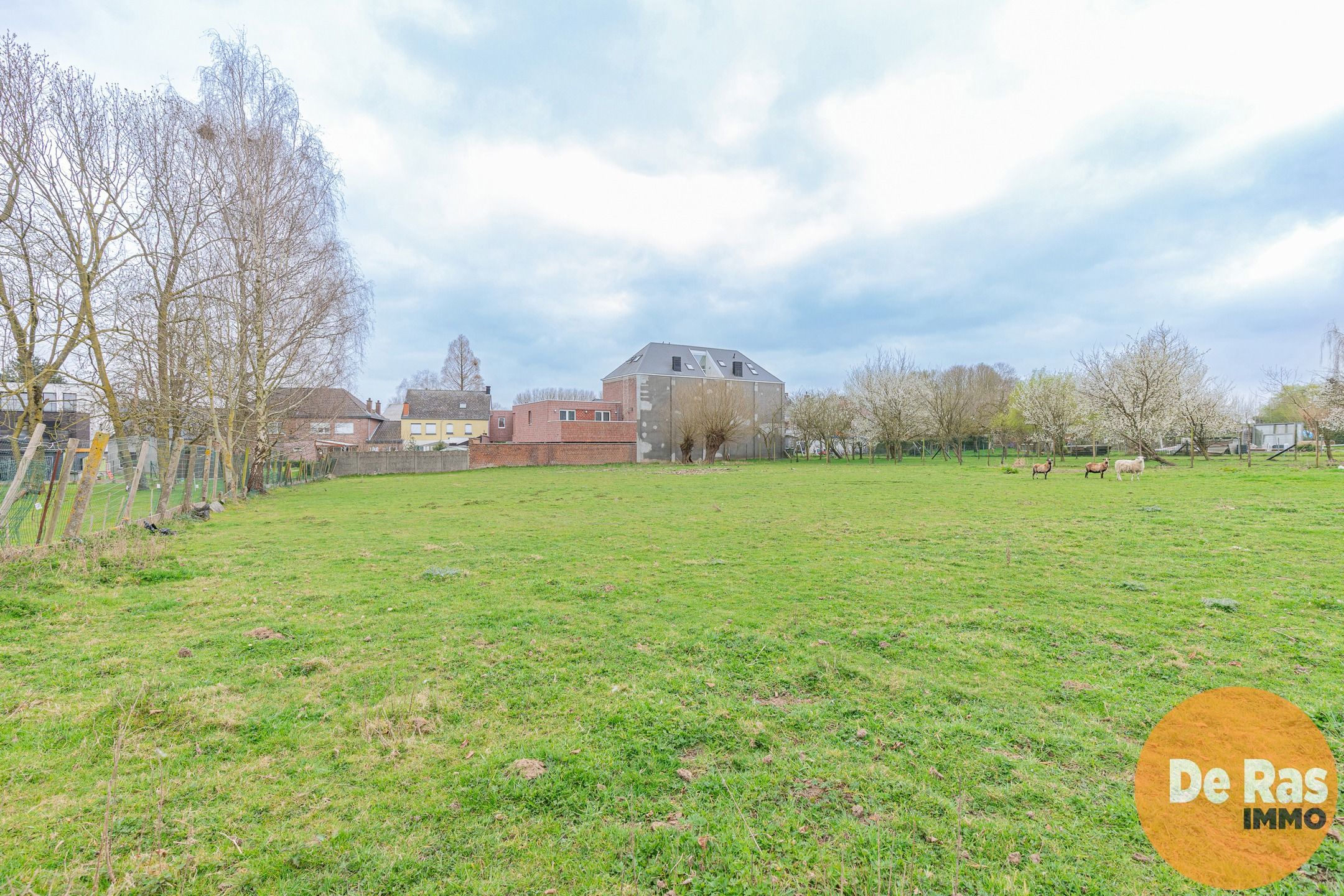 HAALTERT-  Renovatieproject met veel potentieel op 43a 84ca! foto 2