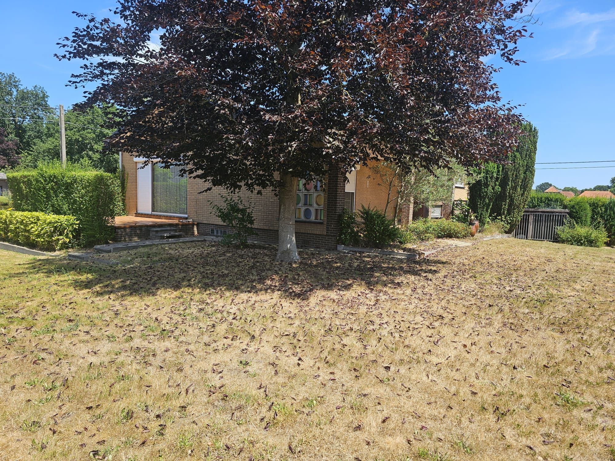 Huis Te Koop foto 4