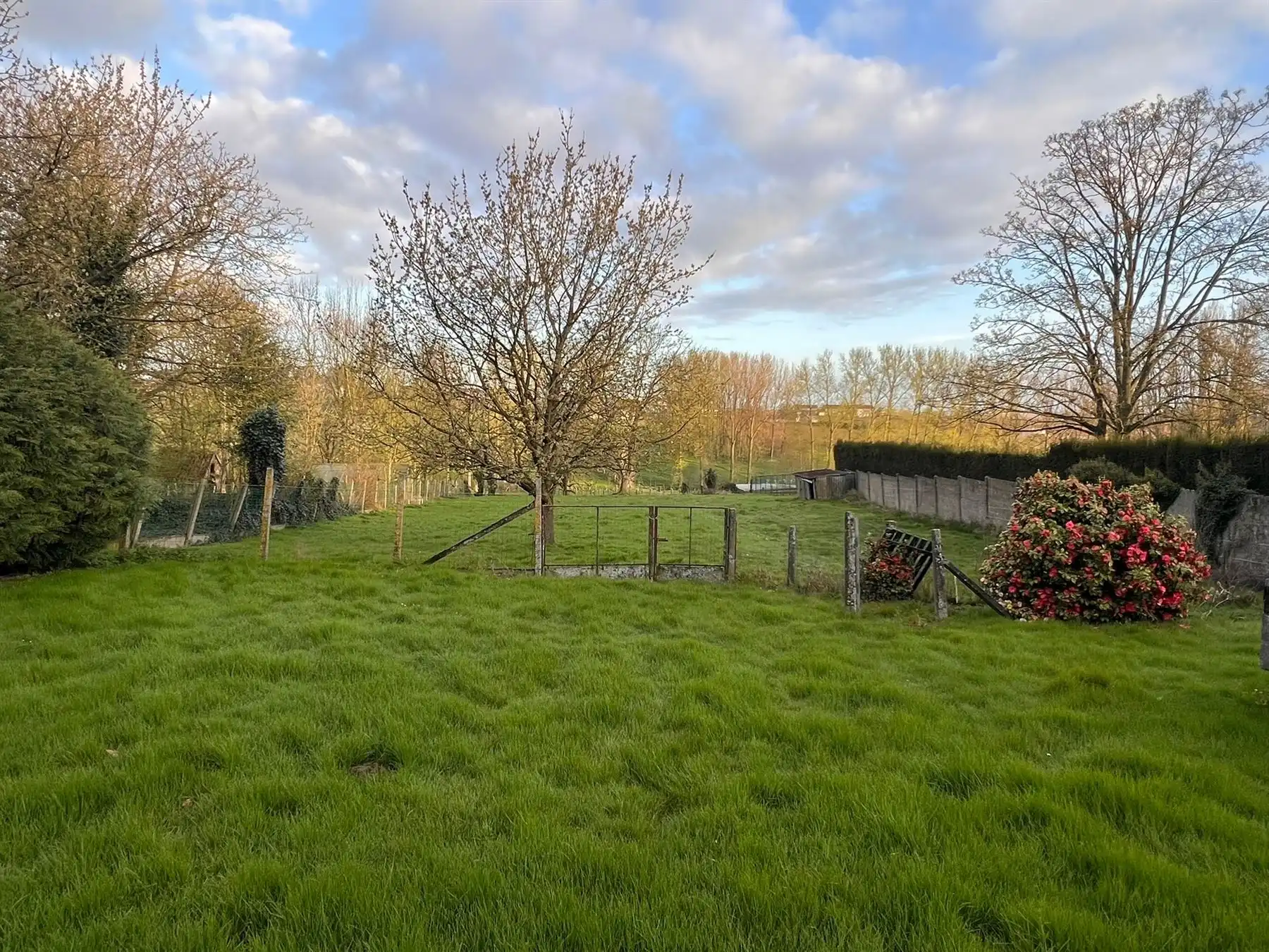 Dorpswoning onder de kerktoren foto 3
