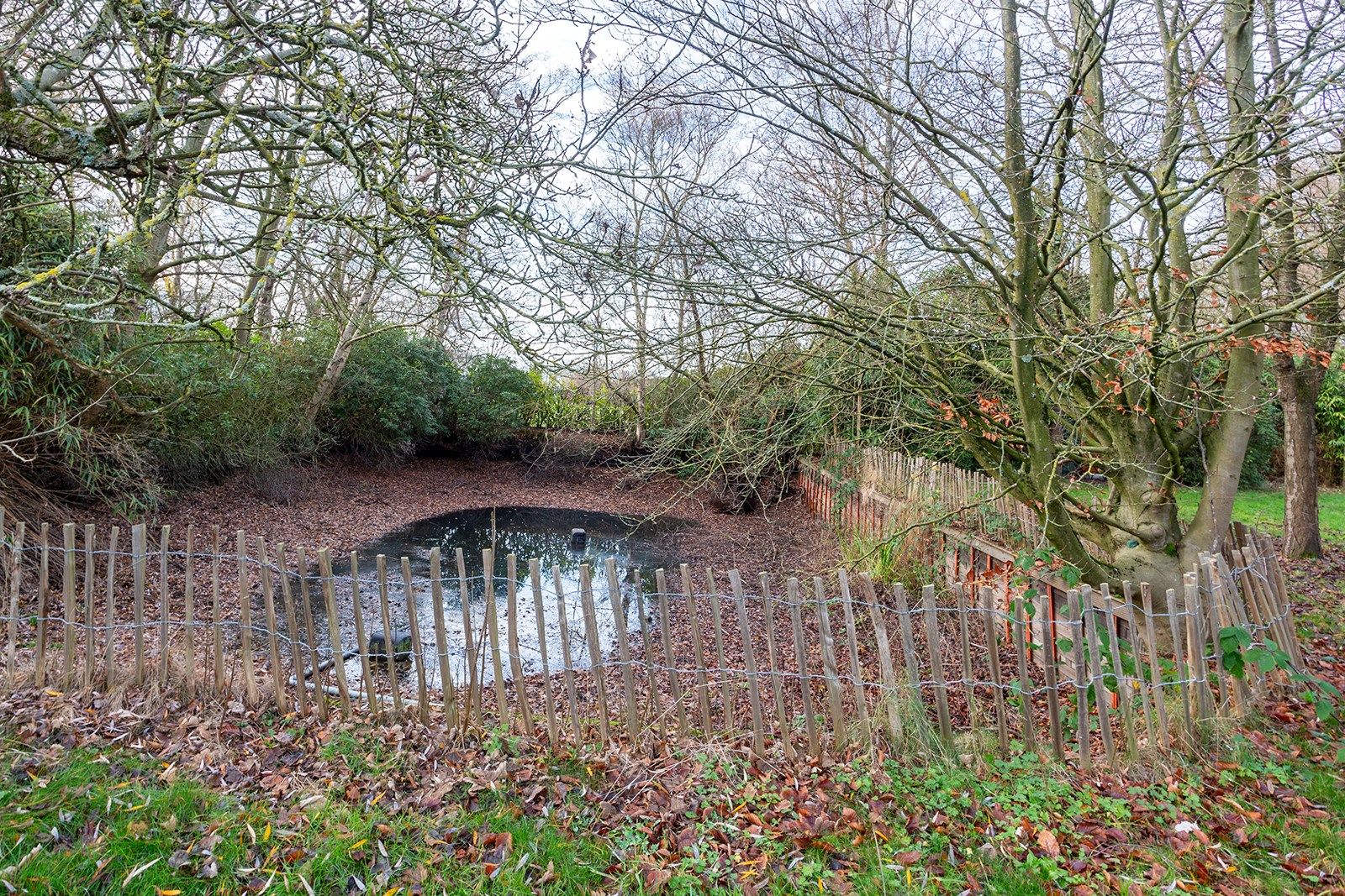 Villa met grote tuin, magazijn én weiland foto 29