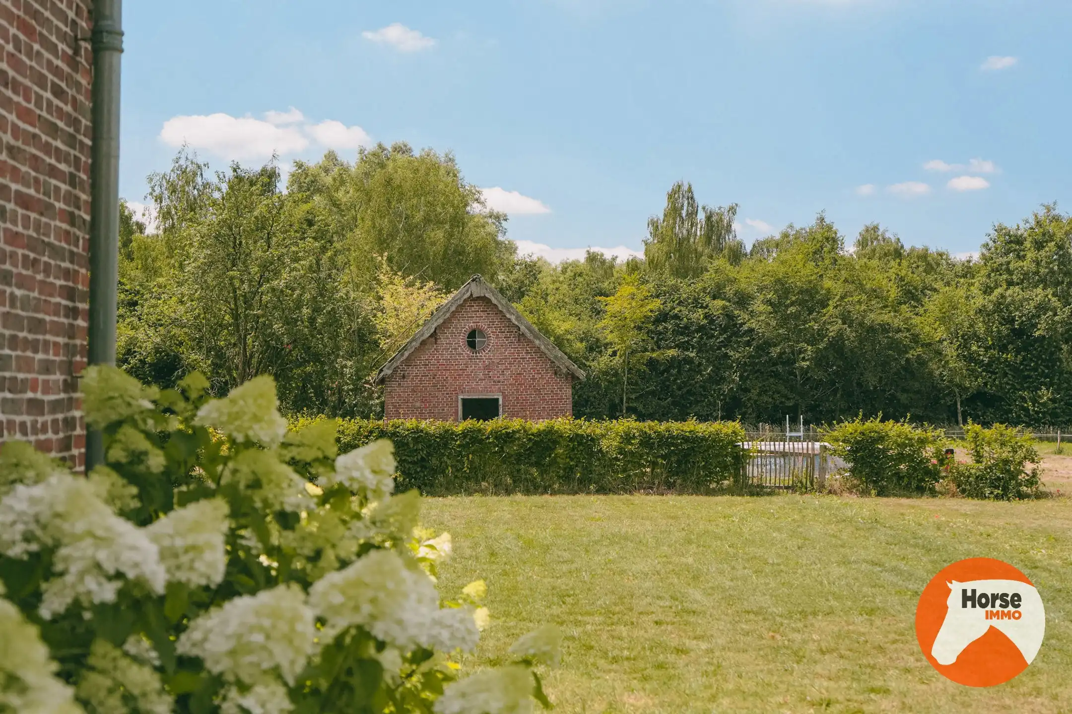 AXEL - Hoeve op een goede locatie met paardenfaciliteiten foto 8