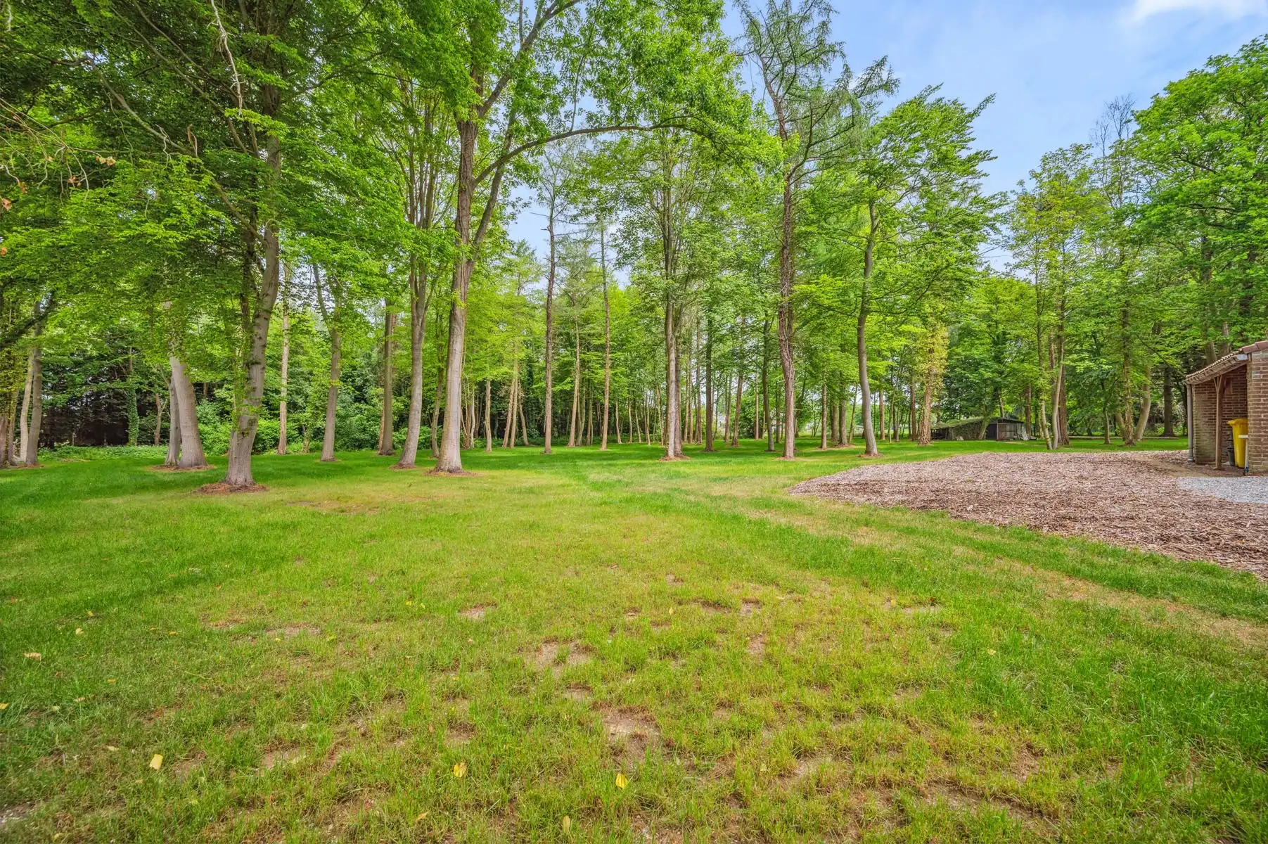 Landhuis in prachtige parktuin van 1ha te HALLAAR foto 23