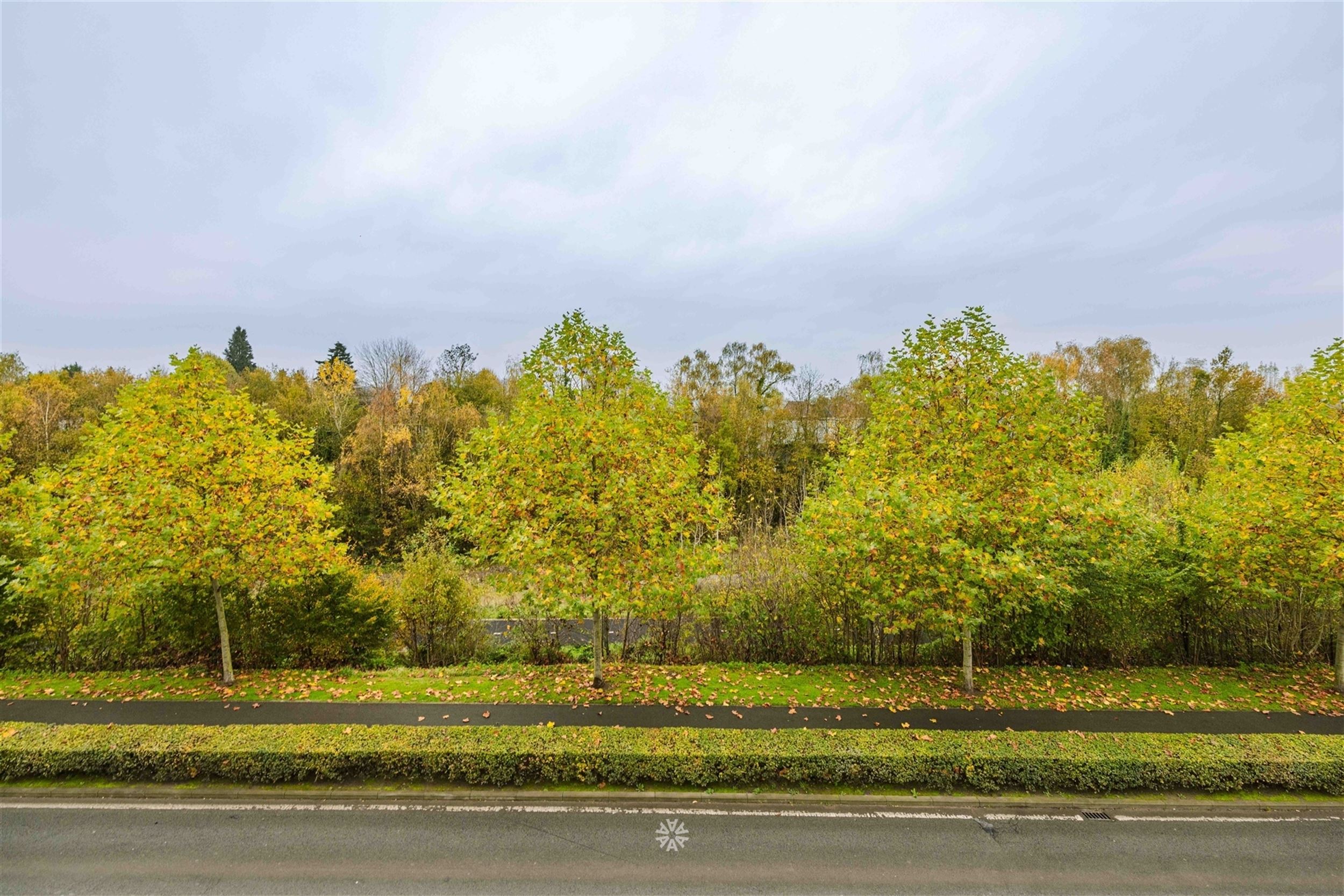 Klassevolle herenwoning met moderne aanbouw in hartje Ronse foto 27