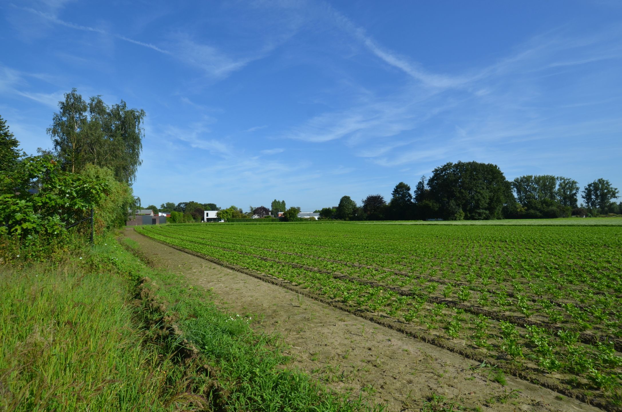 Mooi perceel bouwgrond voor een open bebouwing foto 6