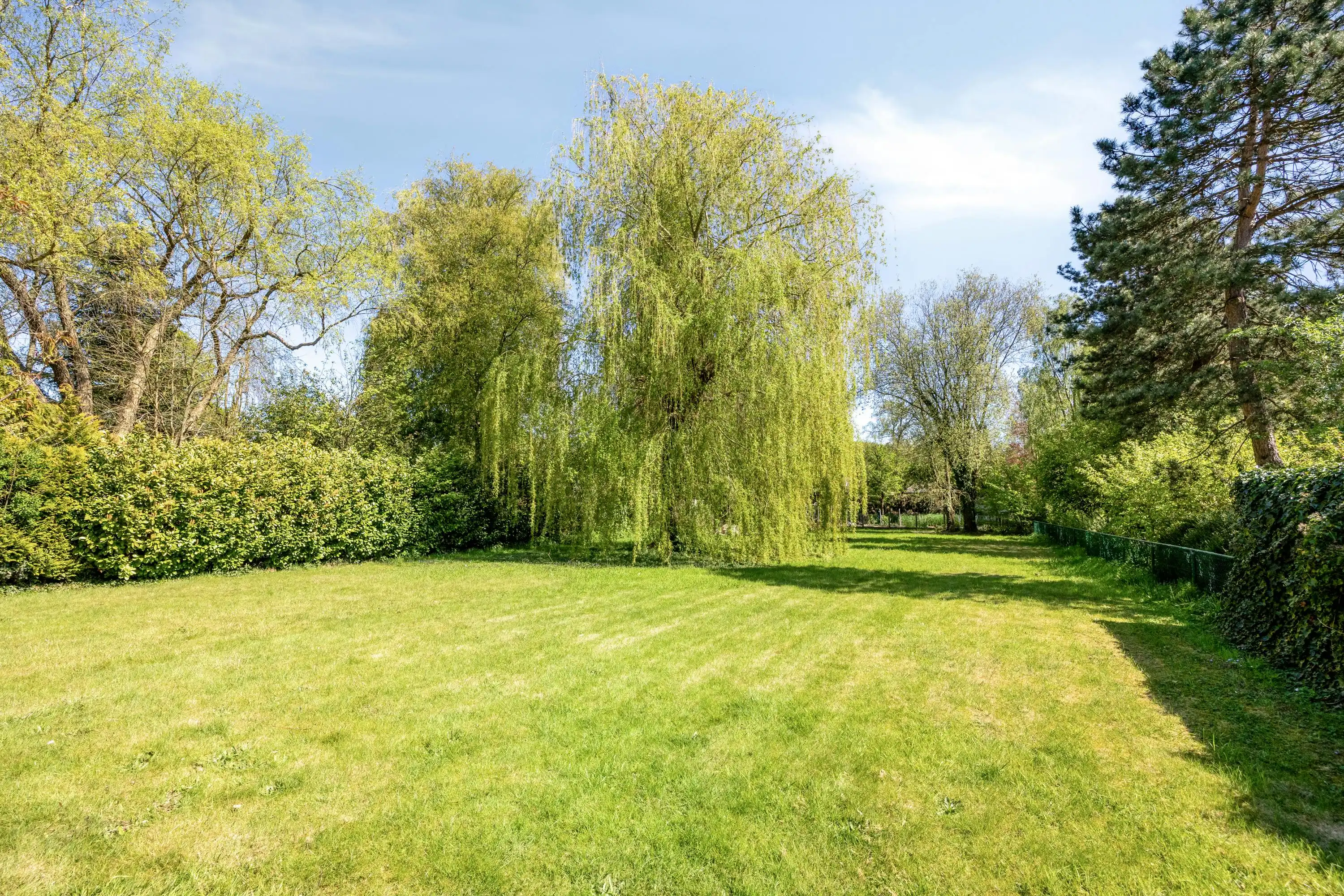 Te renoveren woning met grote tuin in Heide-Kalmthout! foto 3