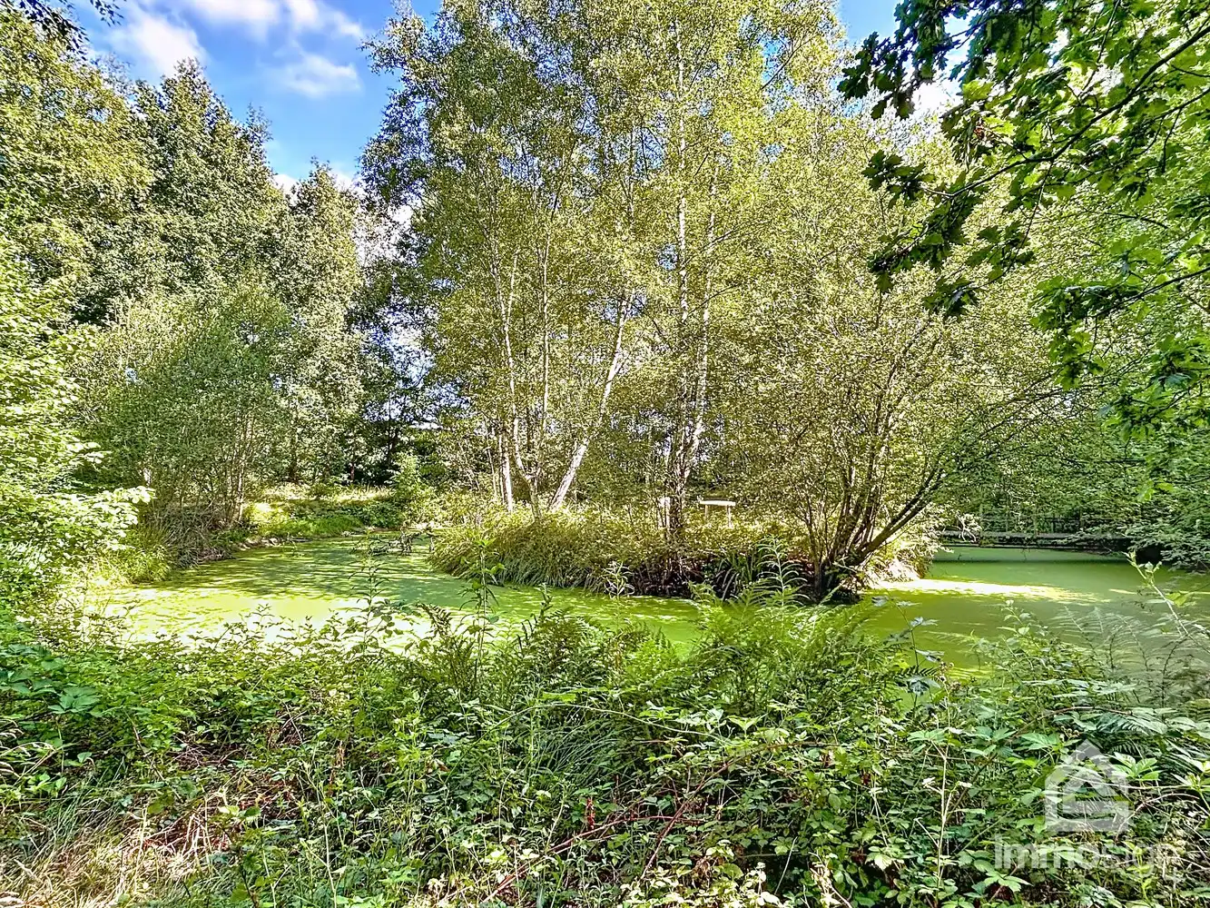 Uniek stuk grond van 9.050 m² in Grote-Brogel/Peer! foto 12