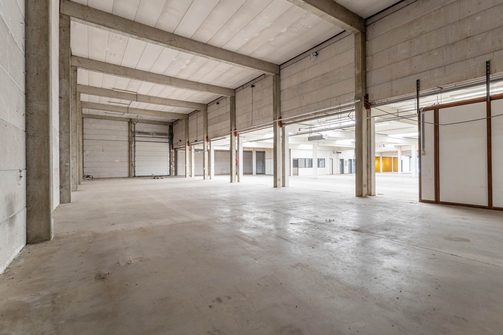 Bedrijfsgebouw (showroom/magazijn) met appartement gelegen op een perceel van 33a 50ca! foto 7