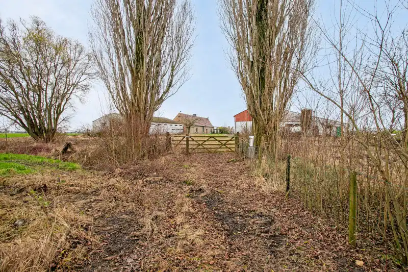 Landelijk domein van ca. 1 hectare te Landegem – bouwgrond met uitzonderlijk woonpotentieel foto 2