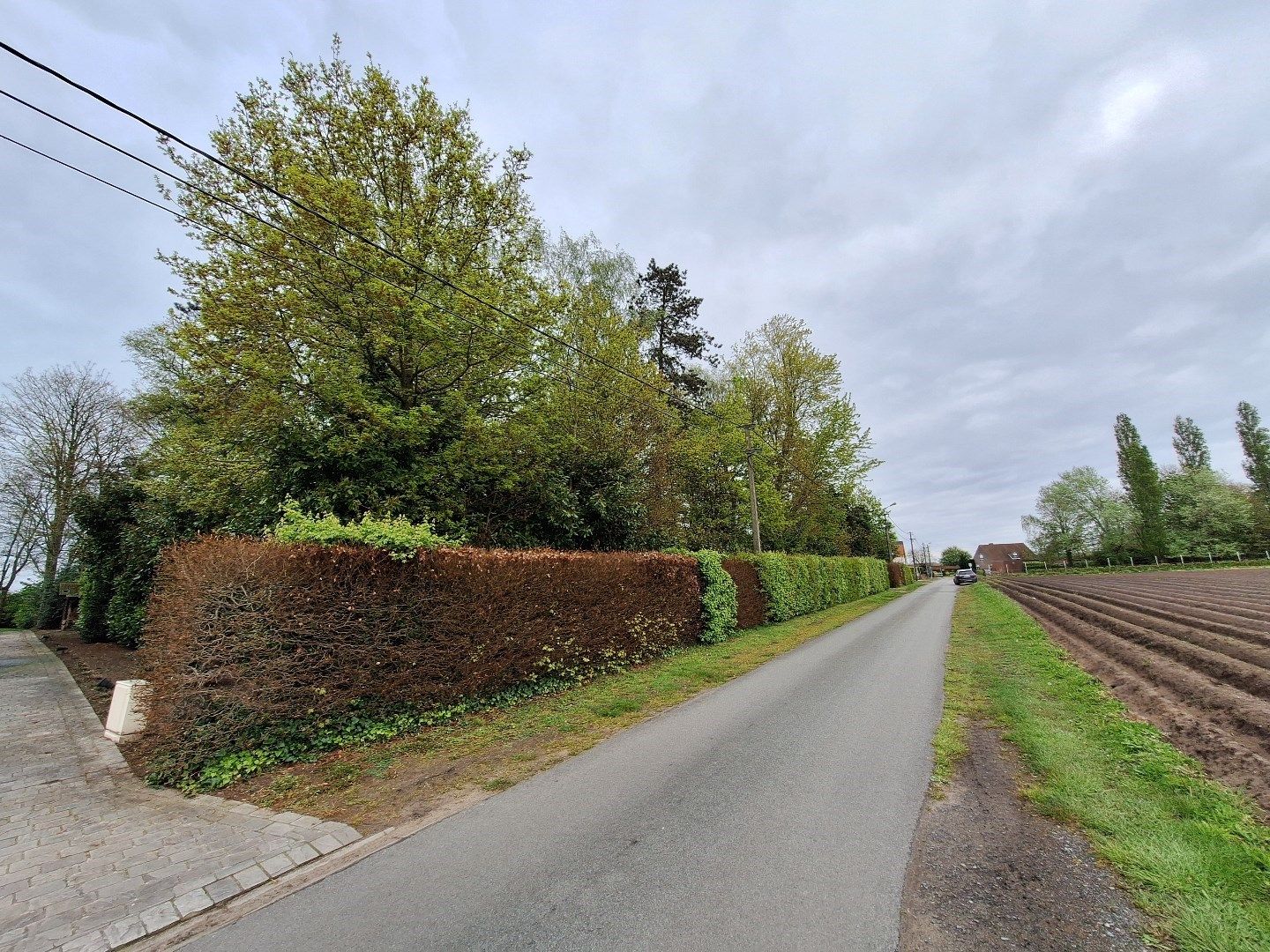 Perceel bouwgrond in landelijke omgeving - zonder bouwverplichting! foto 2