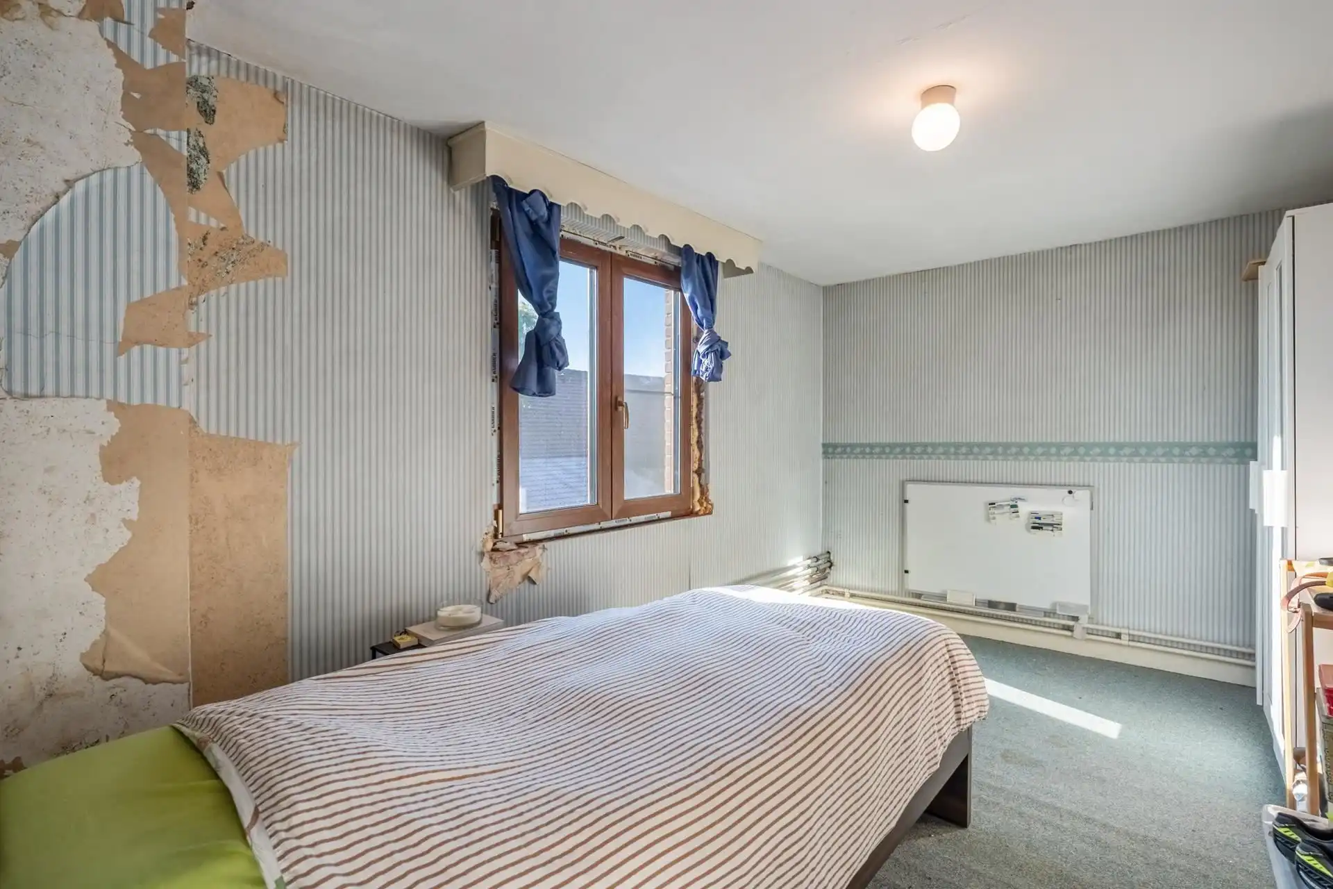 Landelijke hoeve met stallingen en potentieel. foto 32