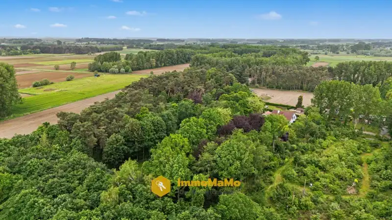 STIJLVOLLE VILLA OP 10.397m2 MET AANGELEGDE PARKTUIN - TE KOOP foto 51