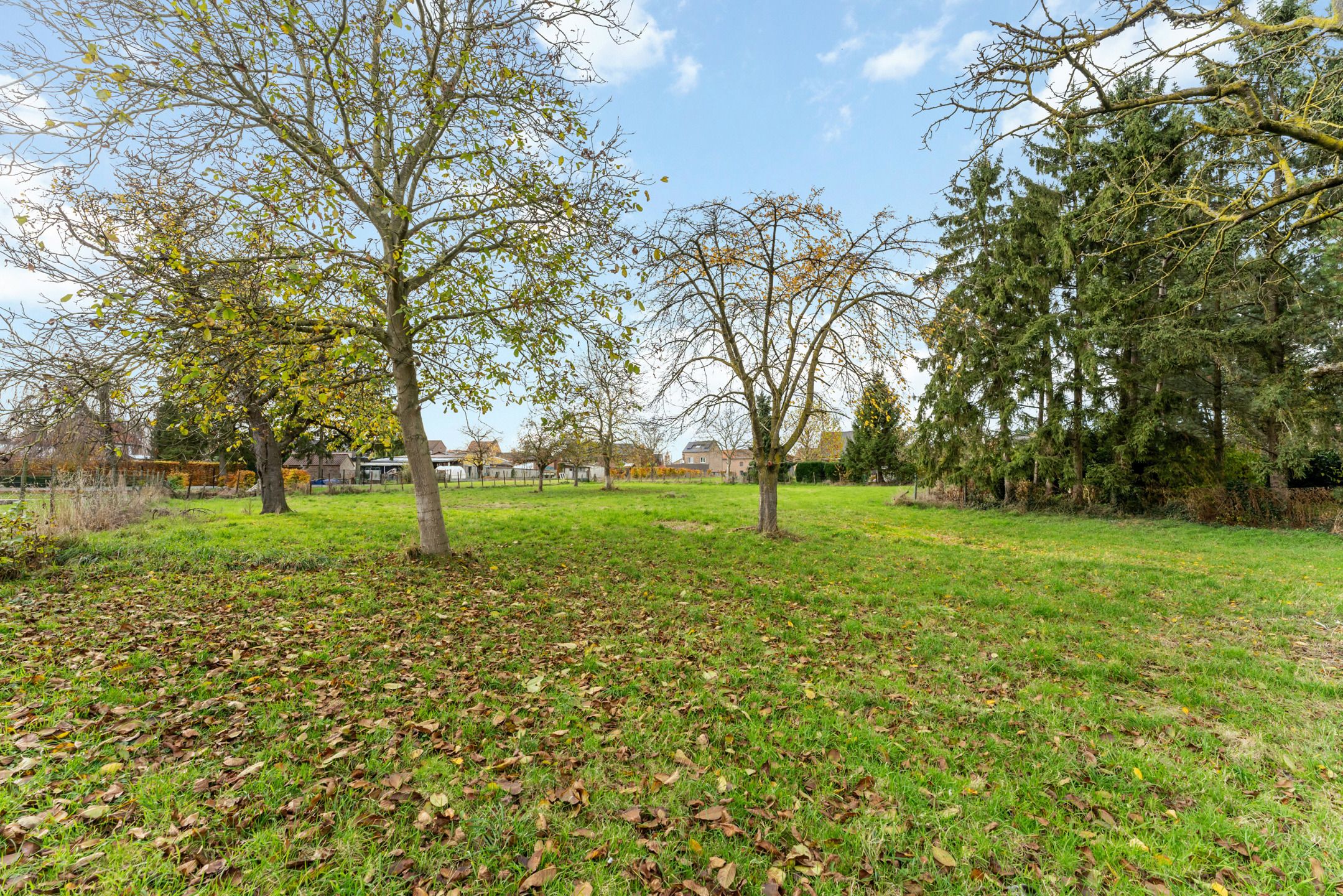 Royaal bouwperceel voor OB van 32a in Millen foto 10