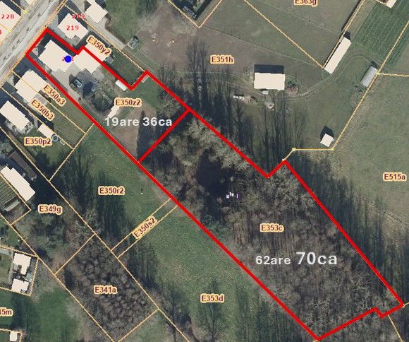 Woning met rustig gelegen, achterliggende weide en bos op 82are foto 4