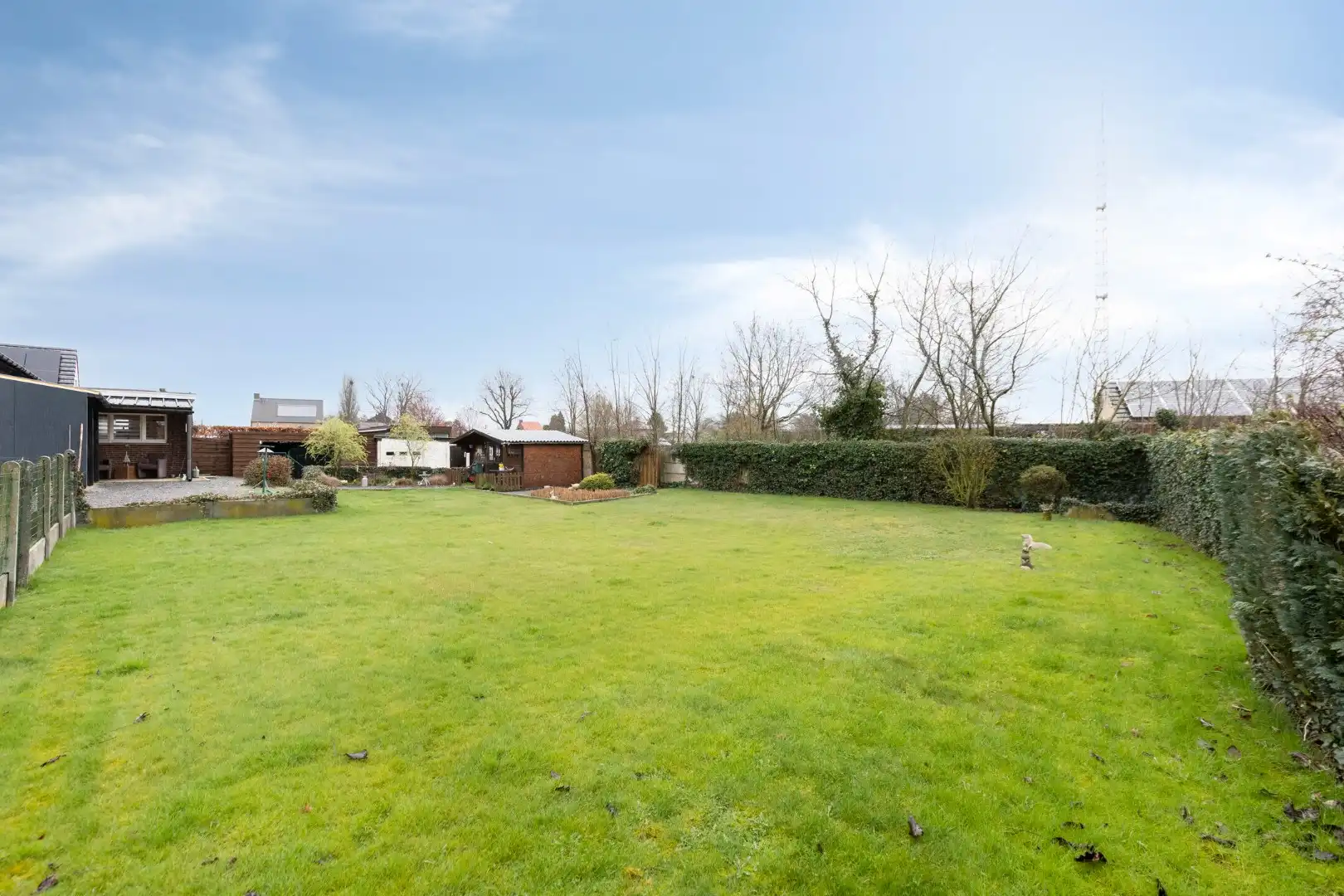 Te renoveren woning op een prachtig perceel van 1431 m²slpks in Balen - Hulsen !  foto 2