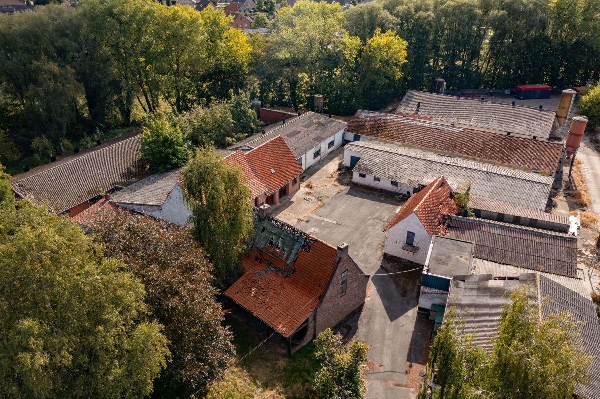 Varkensbedrijf te koop te Bavikhove foto 2