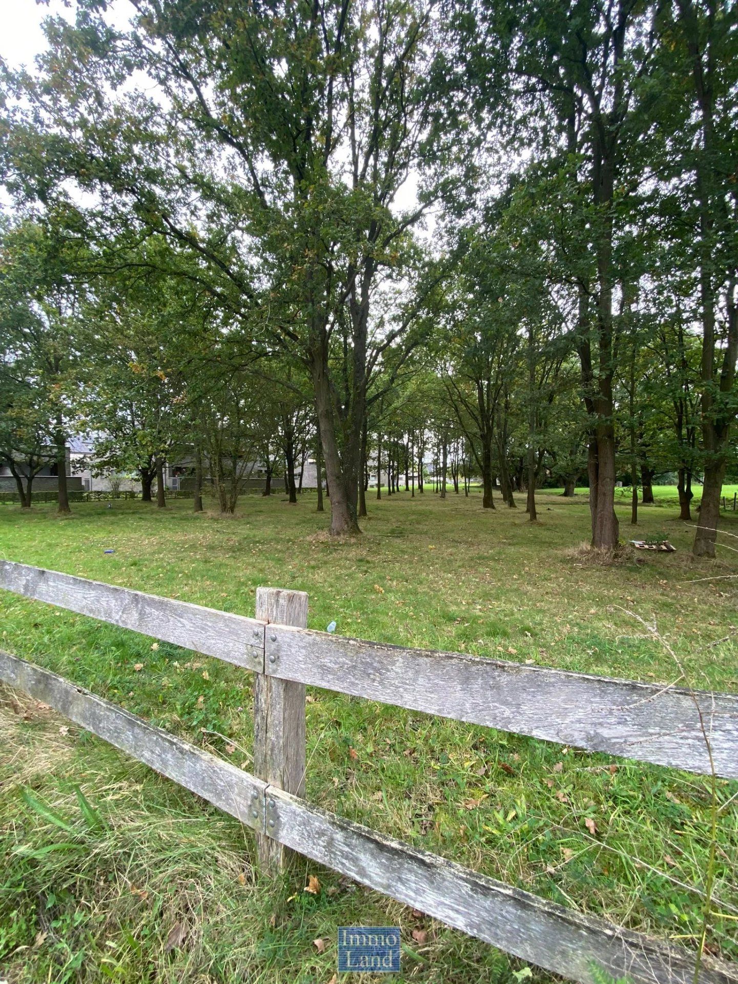 Zeer energiezuinige rustig gelegen woning, binnen de grote ring van Hasselt. foto 51