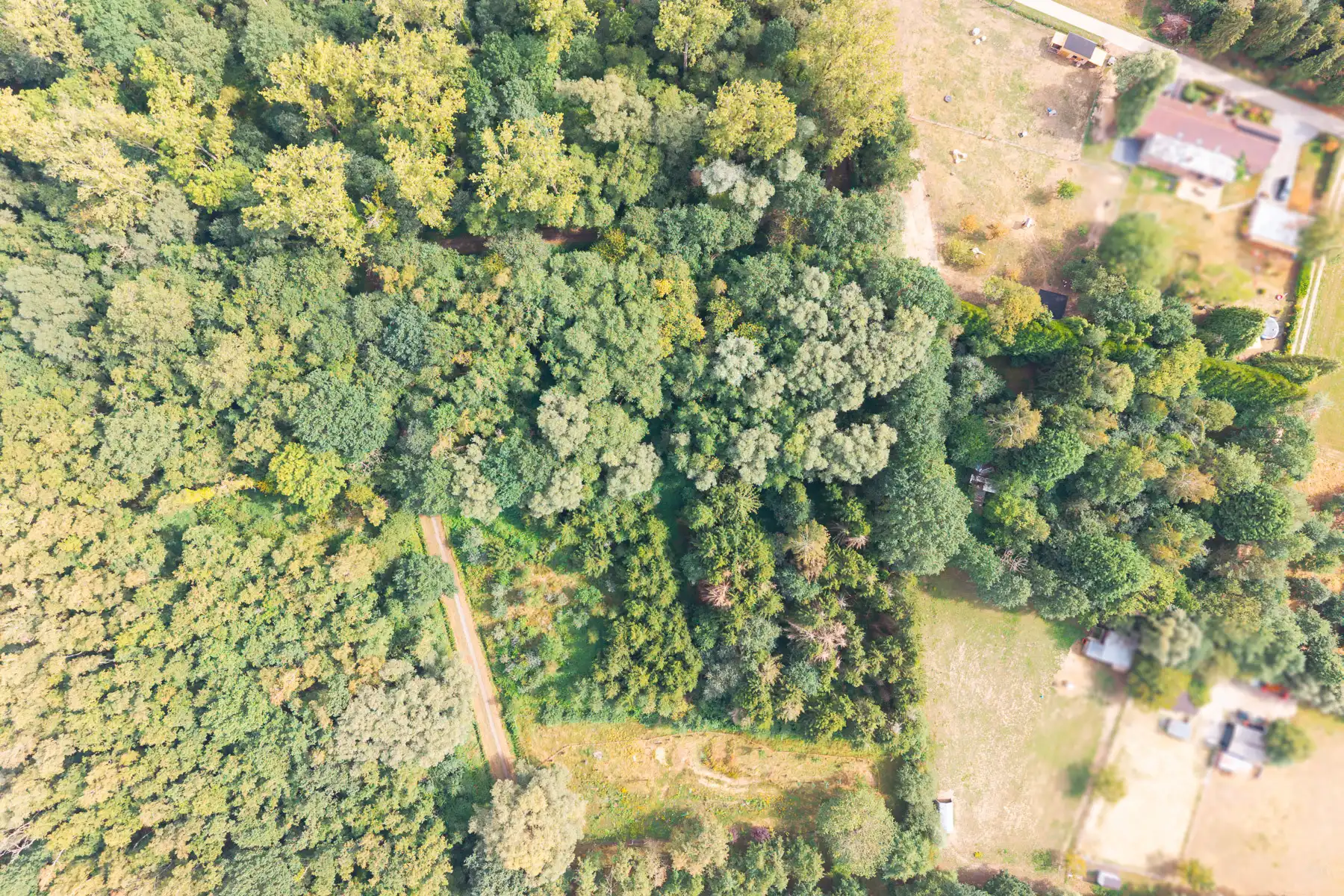 Prachtig stuk natuur foto 8