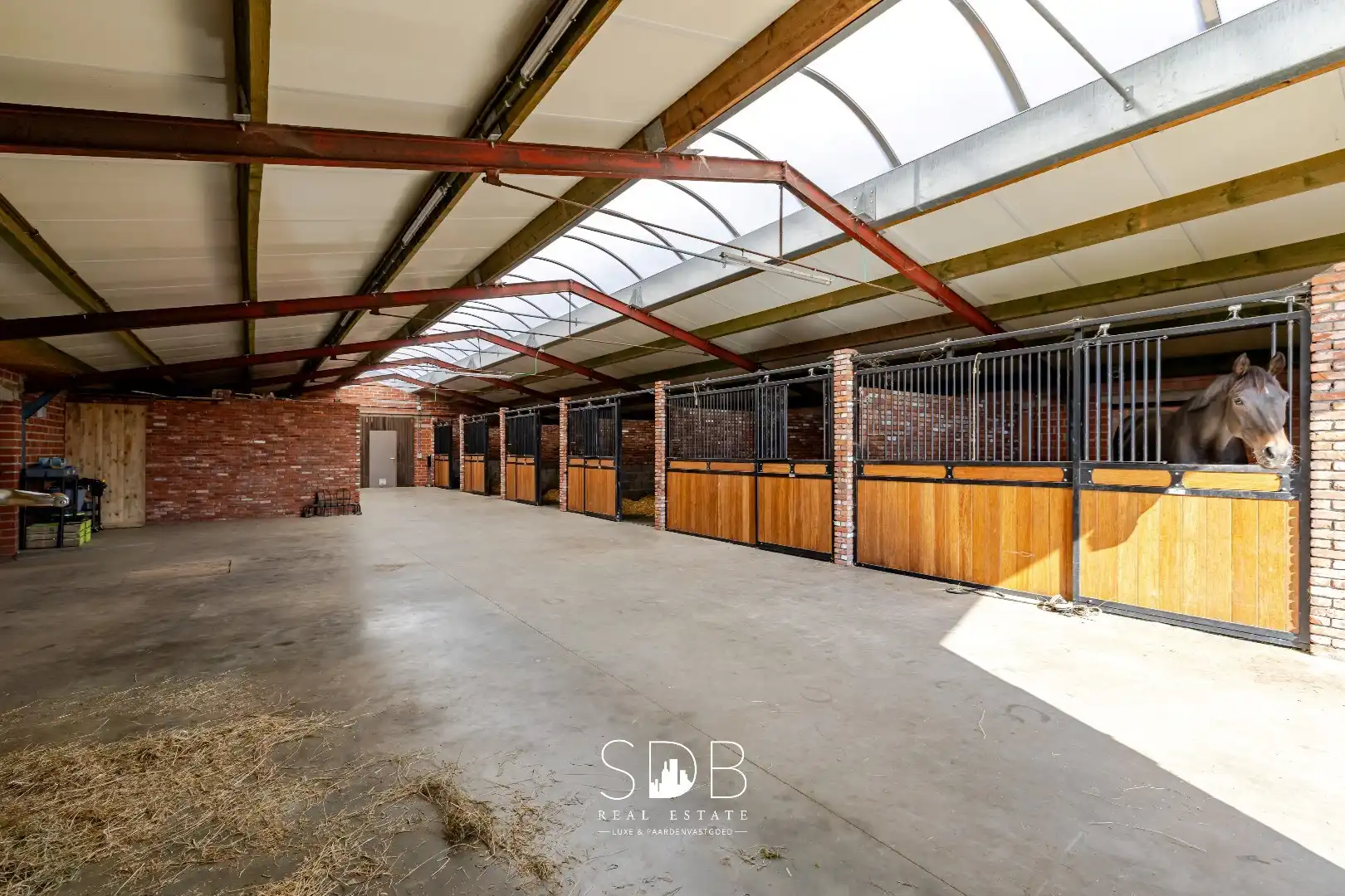 Hedendaagse woning met hippische accommodatie op 17.782m² foto 27
