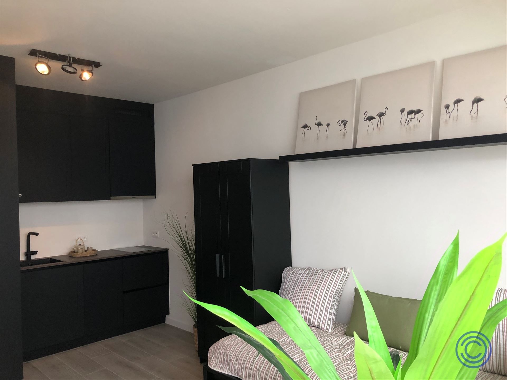 OPBRENGST:18 gerenoveerde studio's + kelder! foto 2