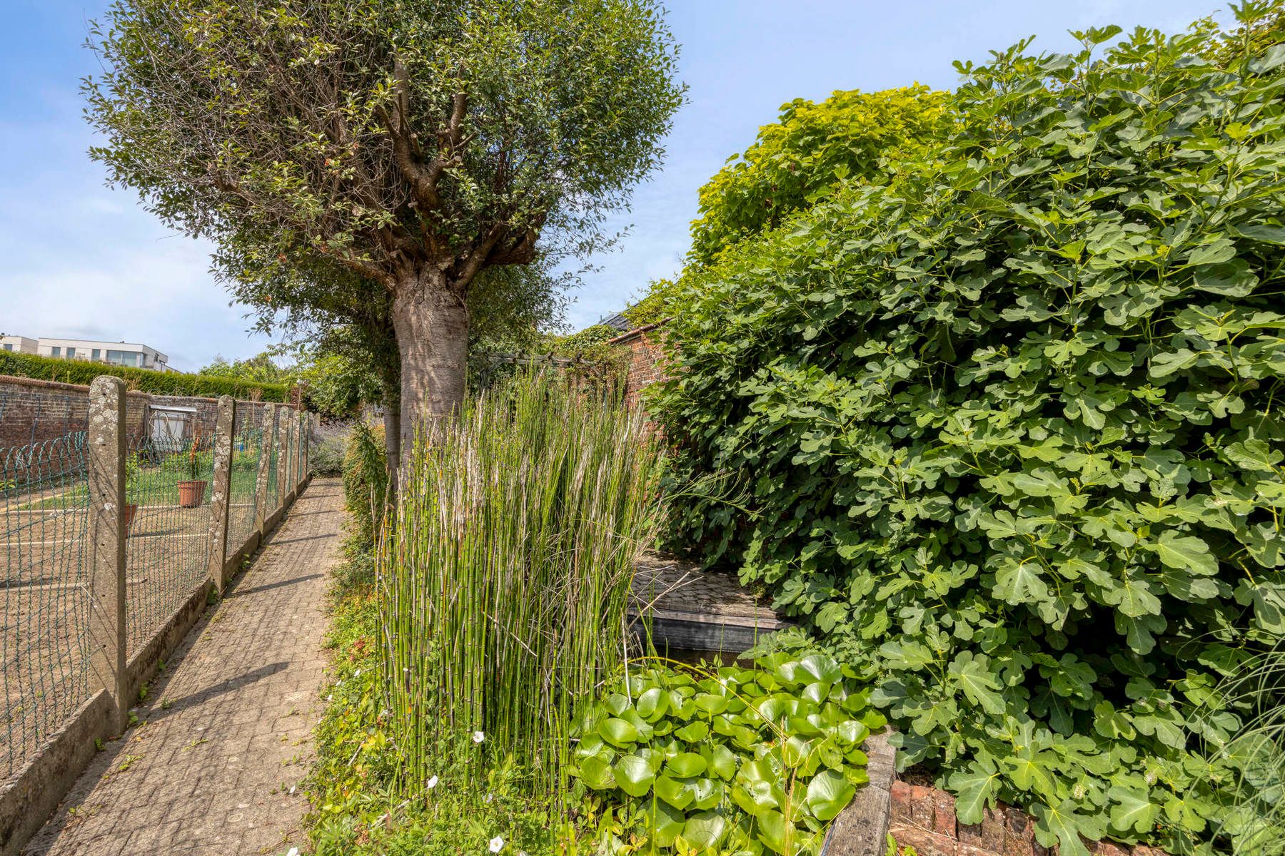 Charmant Herenhuis met grote tuin te Halle foto 22