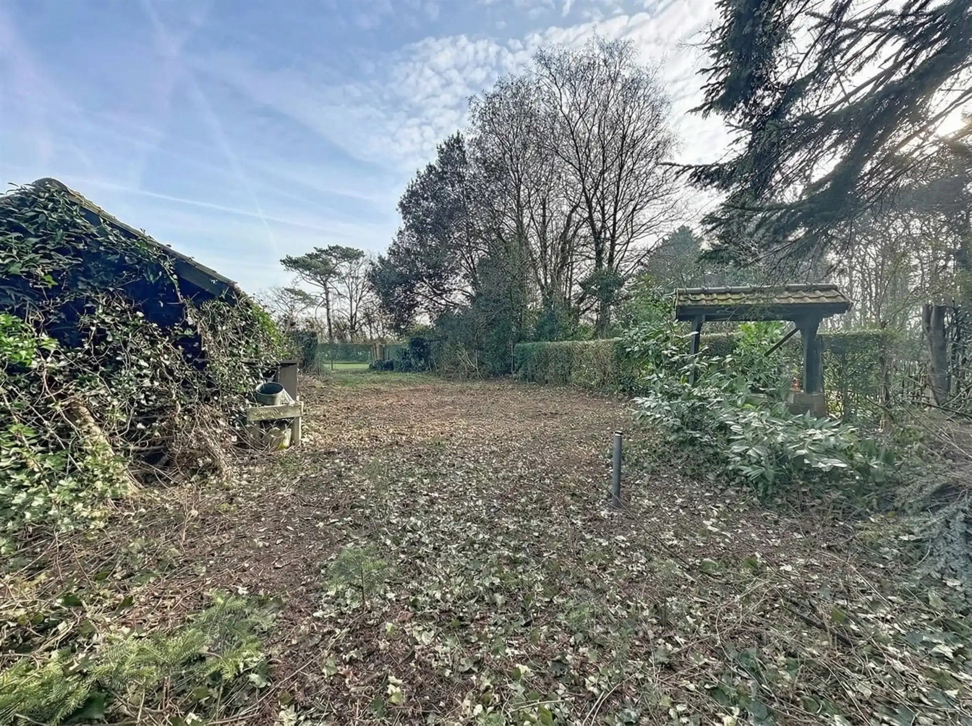 bos op 780m² grond foto 4