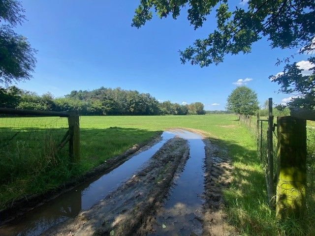 3,4 Ha LANDBOUWGROND I TE KOOP I BERLAAR foto 12