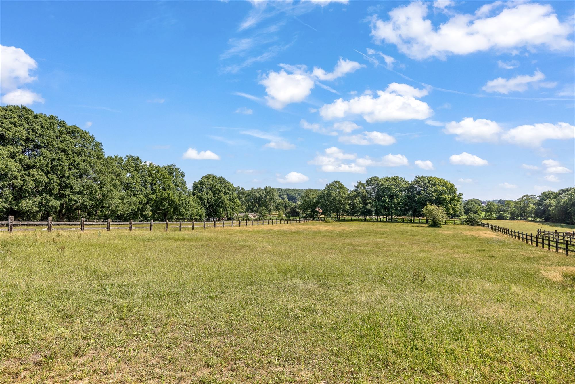 UNIEKE EIGENDOM MET 24 PAARDENSTALLEN EN BINNENPISTE OP CA 10 HECTARE TE PAAL-BERINGEN foto 46