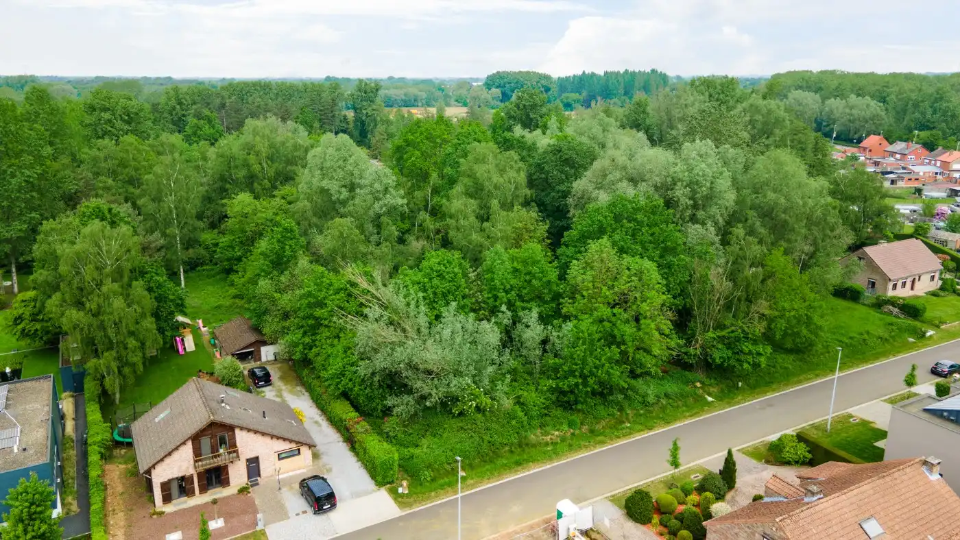 Rustig gelegen bouwgrond van 800m² voor HOB in Olmen foto 12