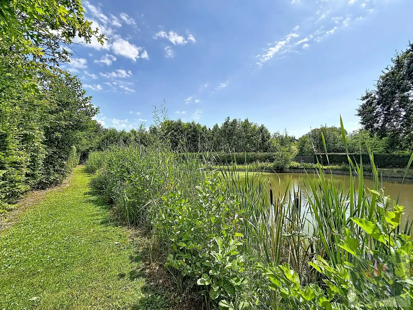 Visvijver op prachtig perceel van 16a10ca in het groene Stokrooie (Bortelsheide) foto 4