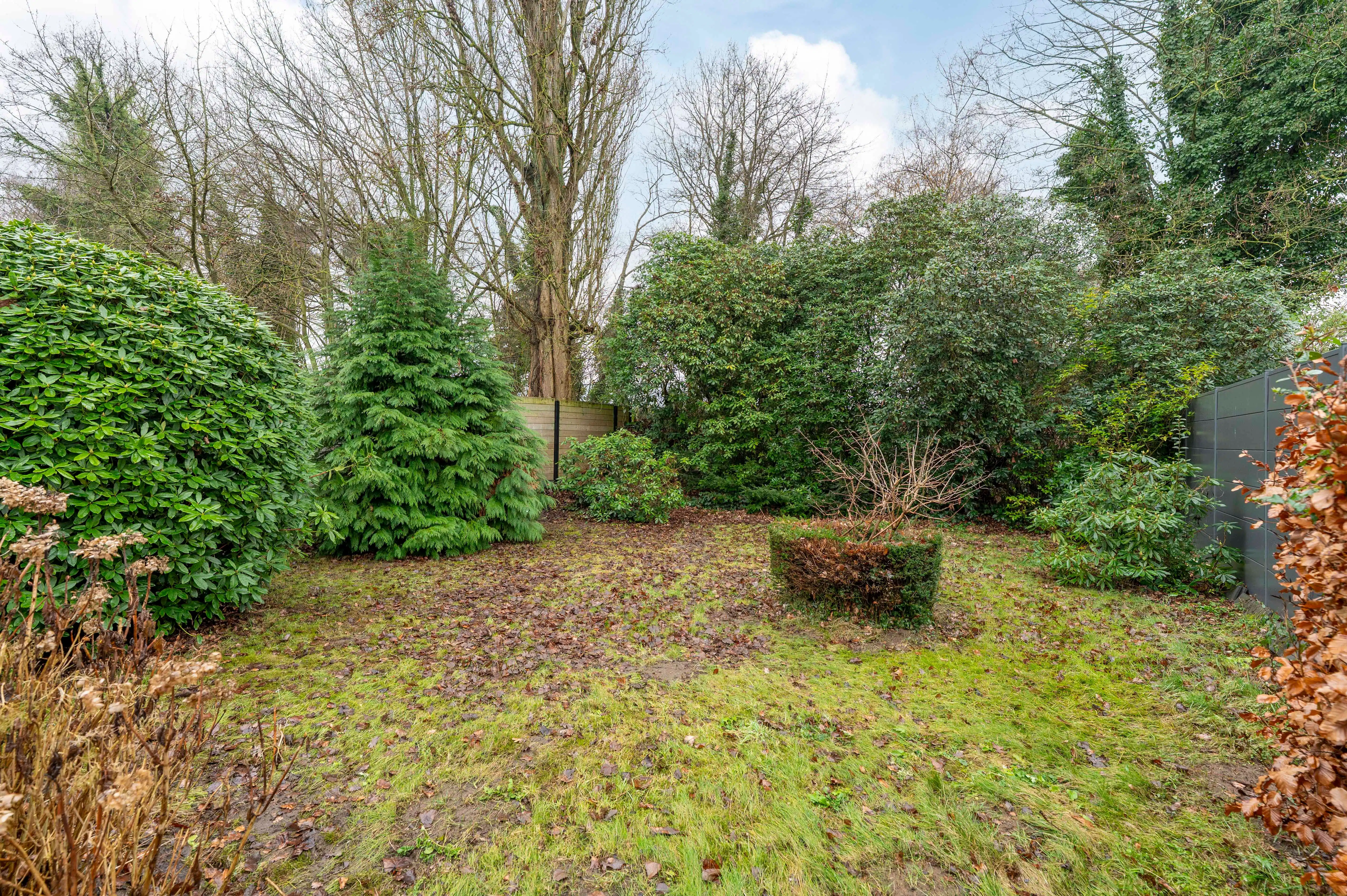 Halfopen bebouwing met veel potentieel, zonnige tuin en garage in Kapellen! foto 12