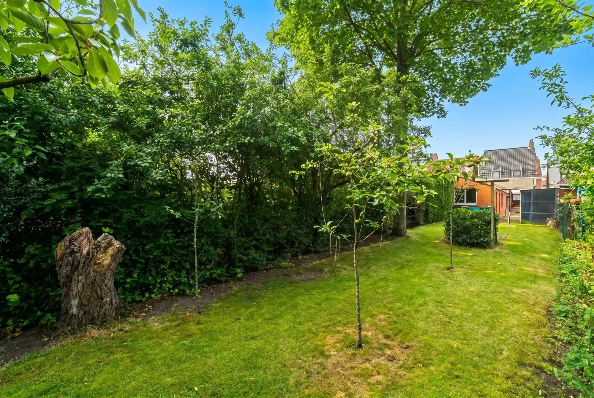 Charmant en centraal wonen, 3 slaapkamers, oprit en fijne tuin foto 16