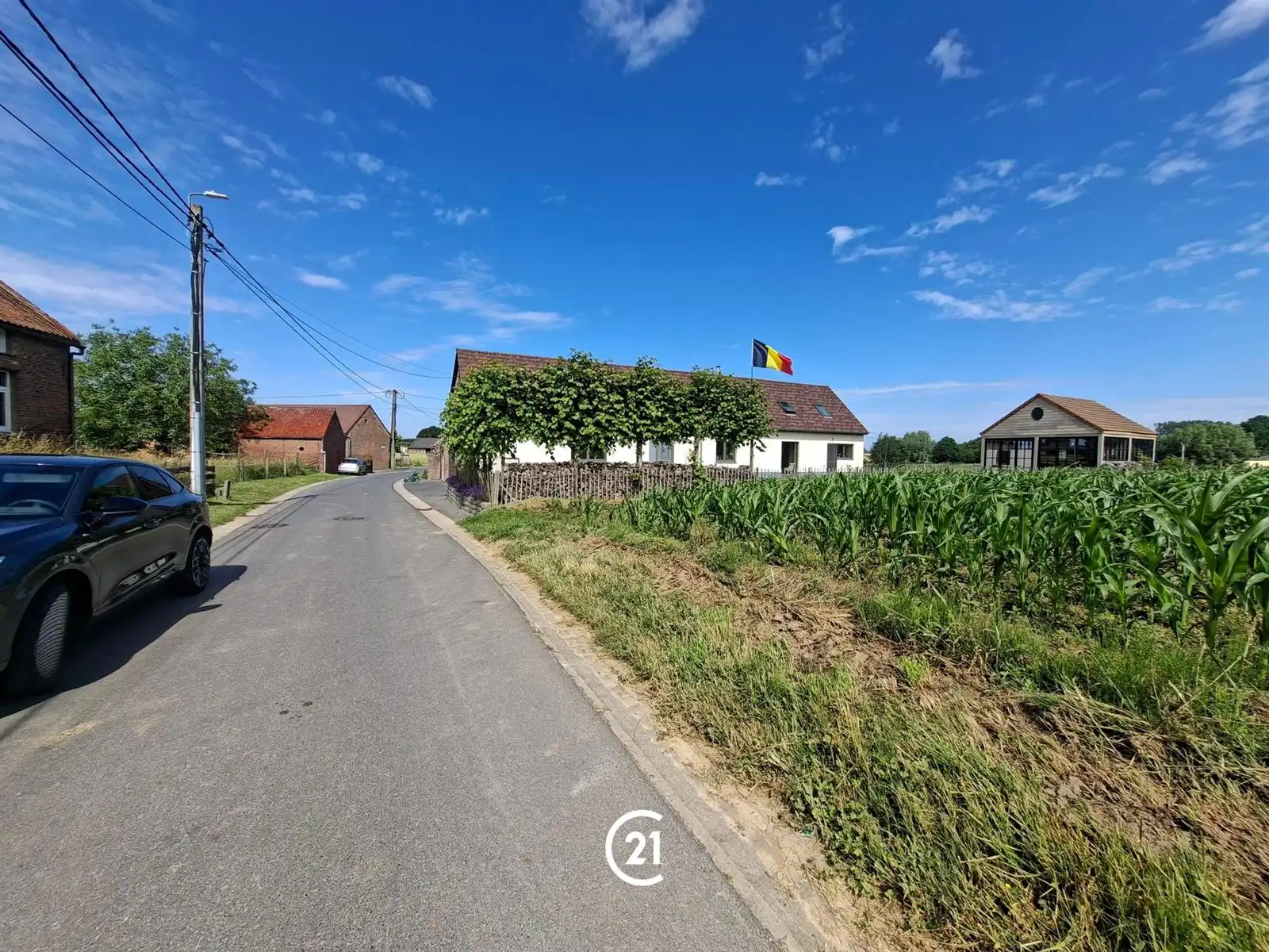 Landbouwgrond 46are, bereikbaar vanop straat foto 4