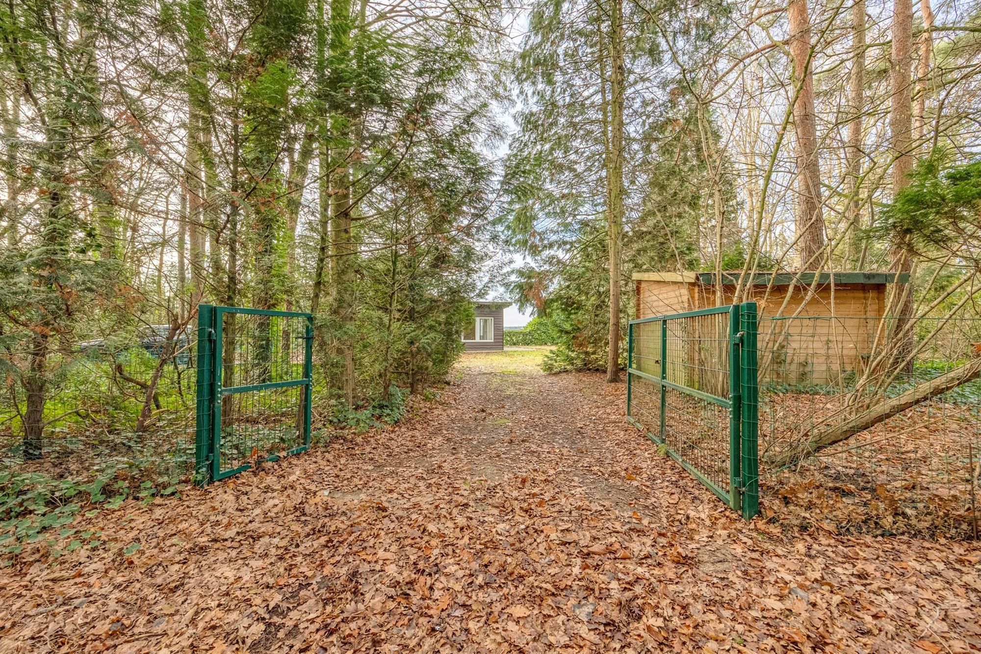 Charmante chalet met privatieve vijver op idyllisch perceel foto 26